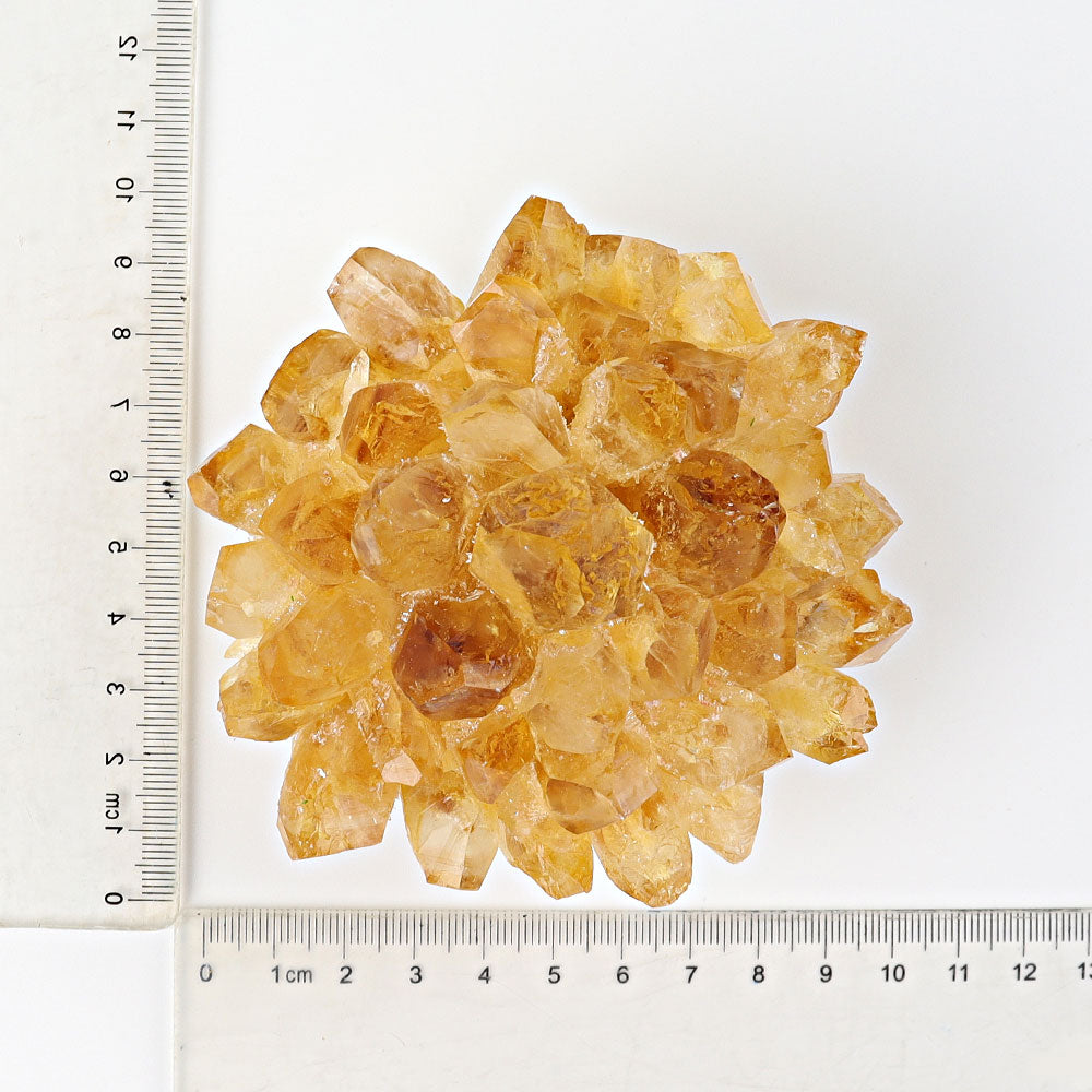 2.0-2.8 inch Pterocarpus Santalinus Wood Sphere for Healing