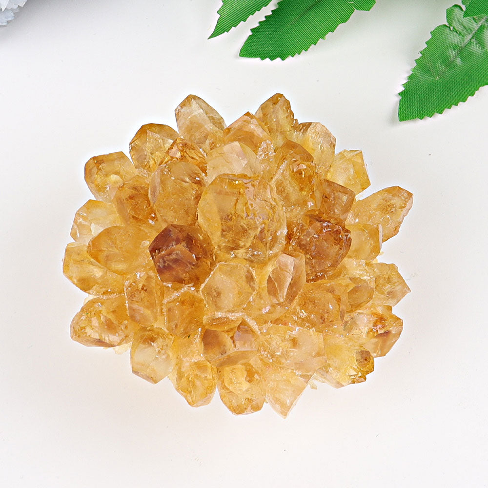 2.0-2.8 inch Pterocarpus Santalinus Wood Sphere for Healing