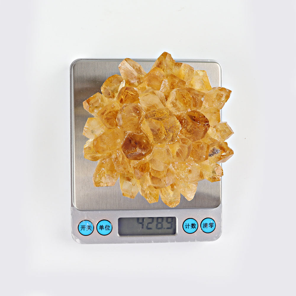 2.0-2.8 inch Pterocarpus Santalinus Wood Sphere for Healing