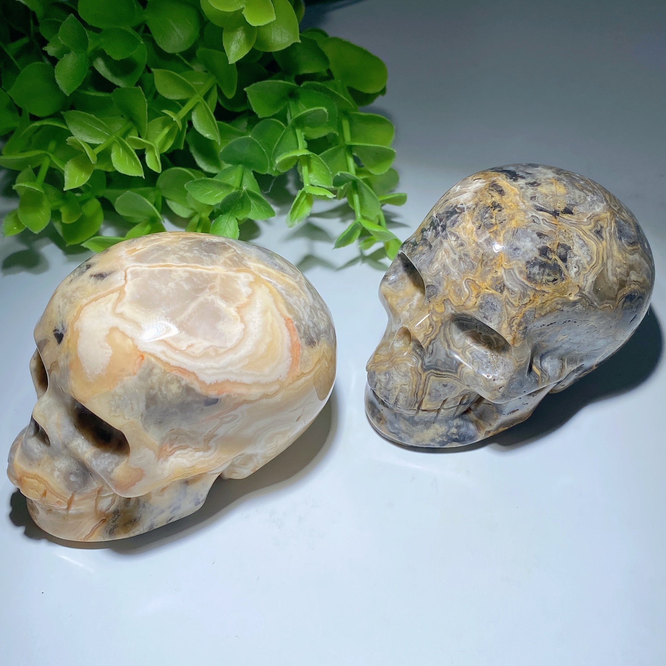 3.2 Inch Crazy Agate Crystal Skull for Healing Meditation