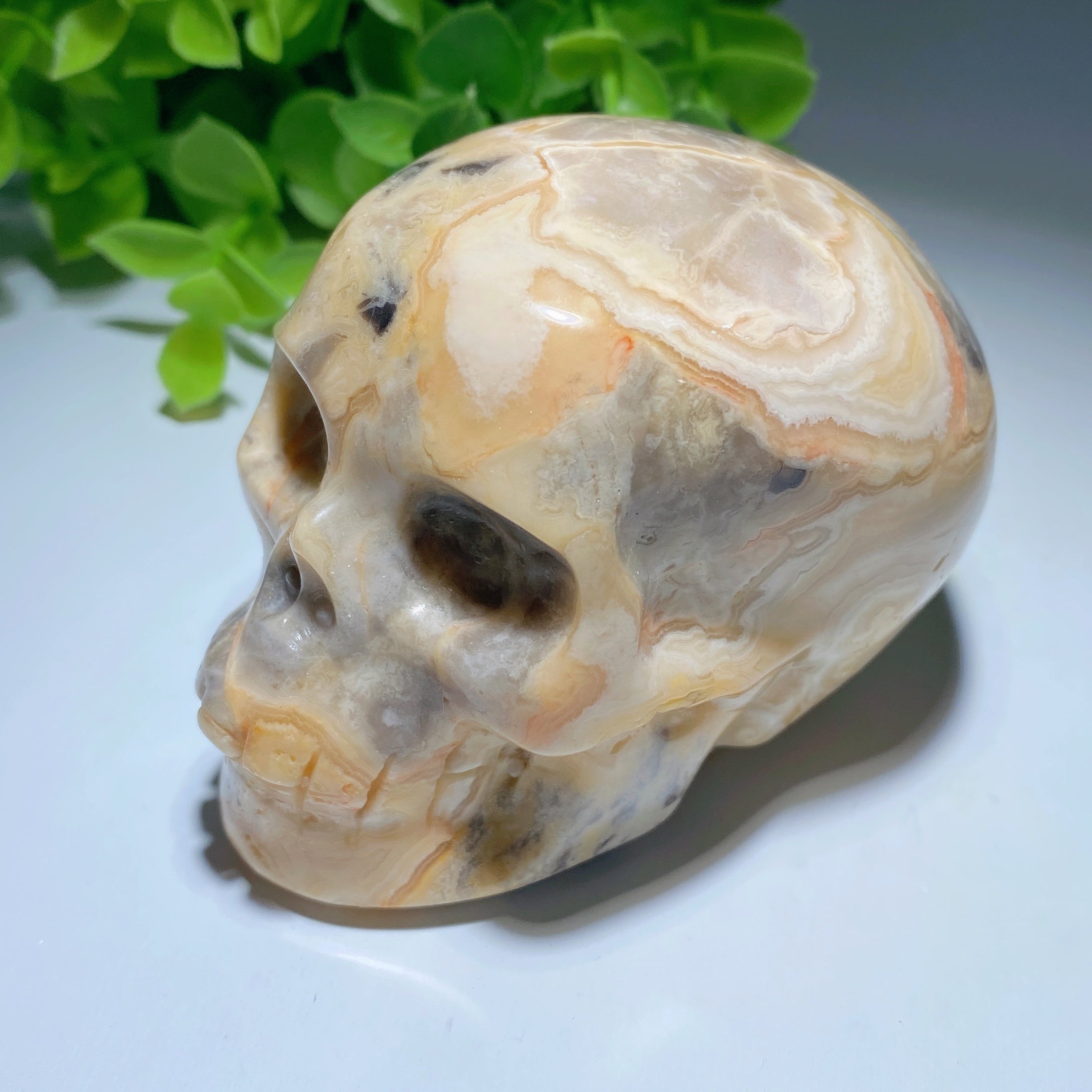 3.2 Inch Crazy Agate Crystal Skull for Healing Meditation