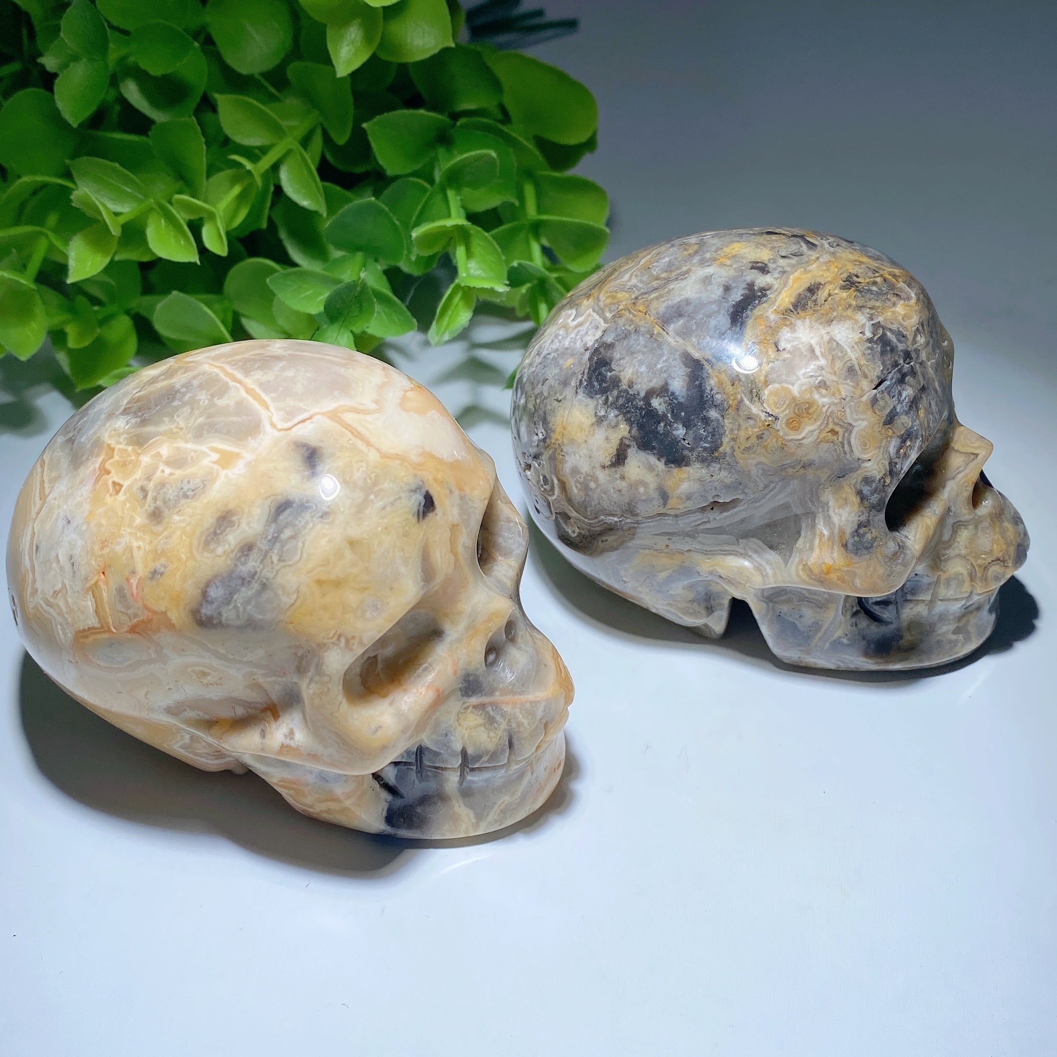 3.2 Inch Crazy Agate Crystal Skull for Healing Meditation