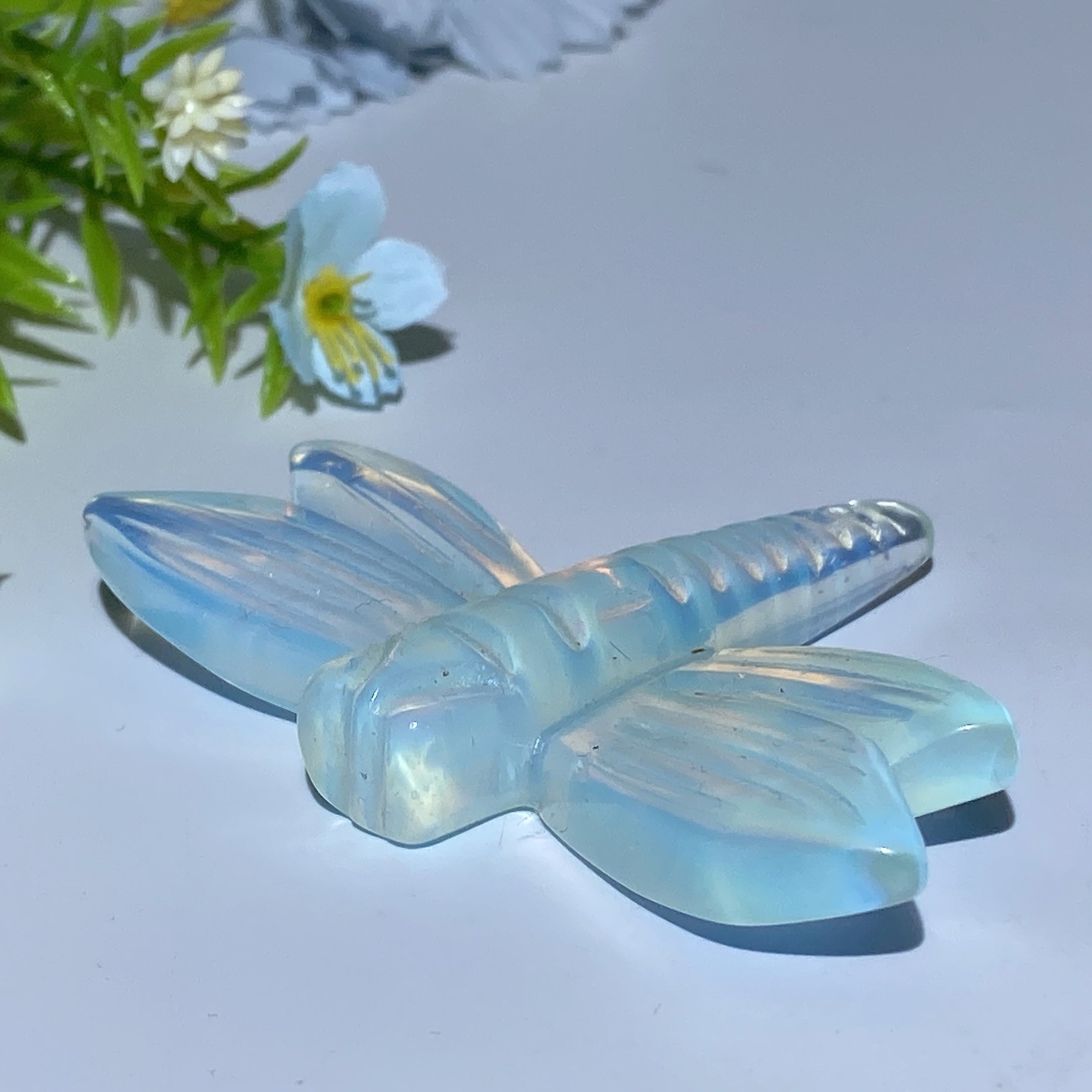 3.2 inch Mixed Crystal Dragonfly Carvings for Healing