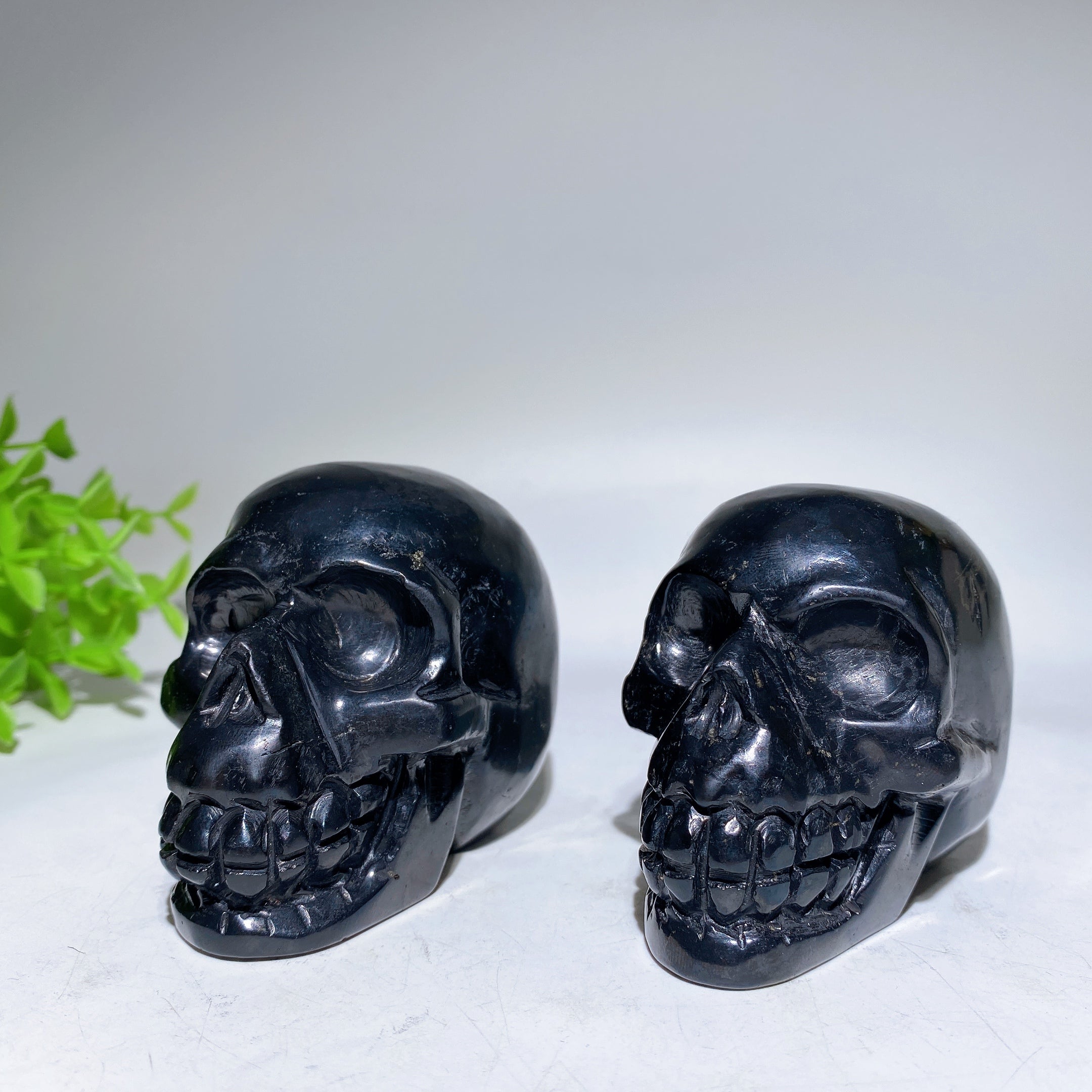 3.3 inch Schungite Skull Crystal Figurine Carving