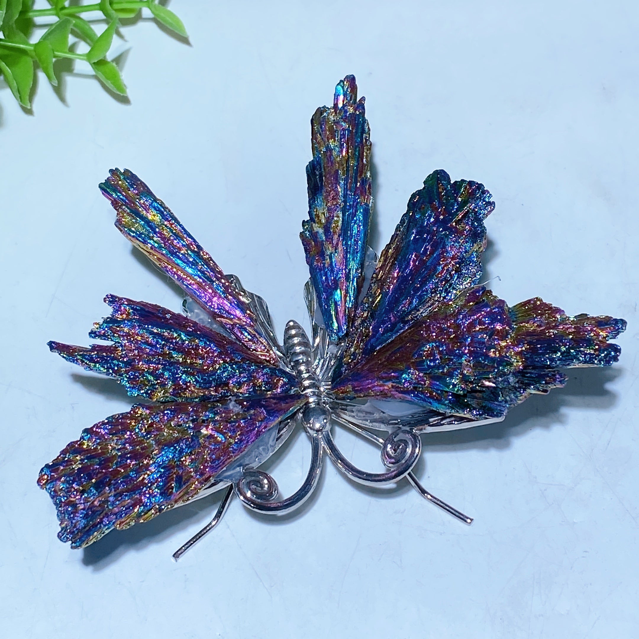 3.5-4 inch Aura Black Tourmaline Butterfly Crystal