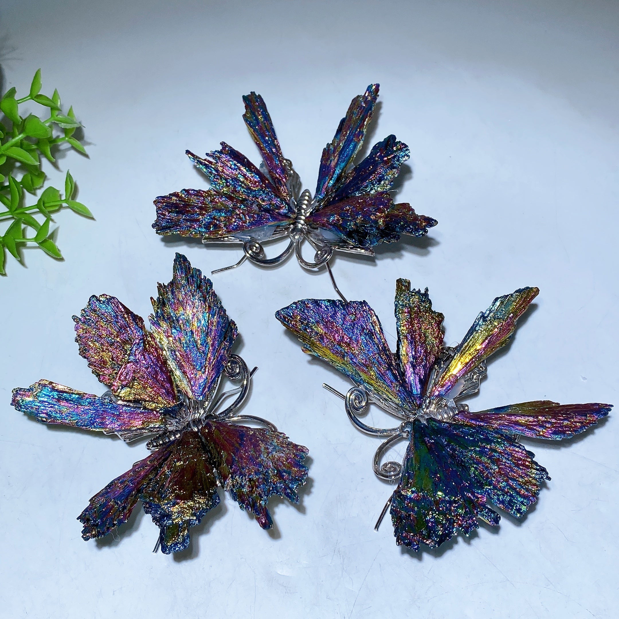 3.5-4 inch Aura Black Tourmaline Butterfly Crystal