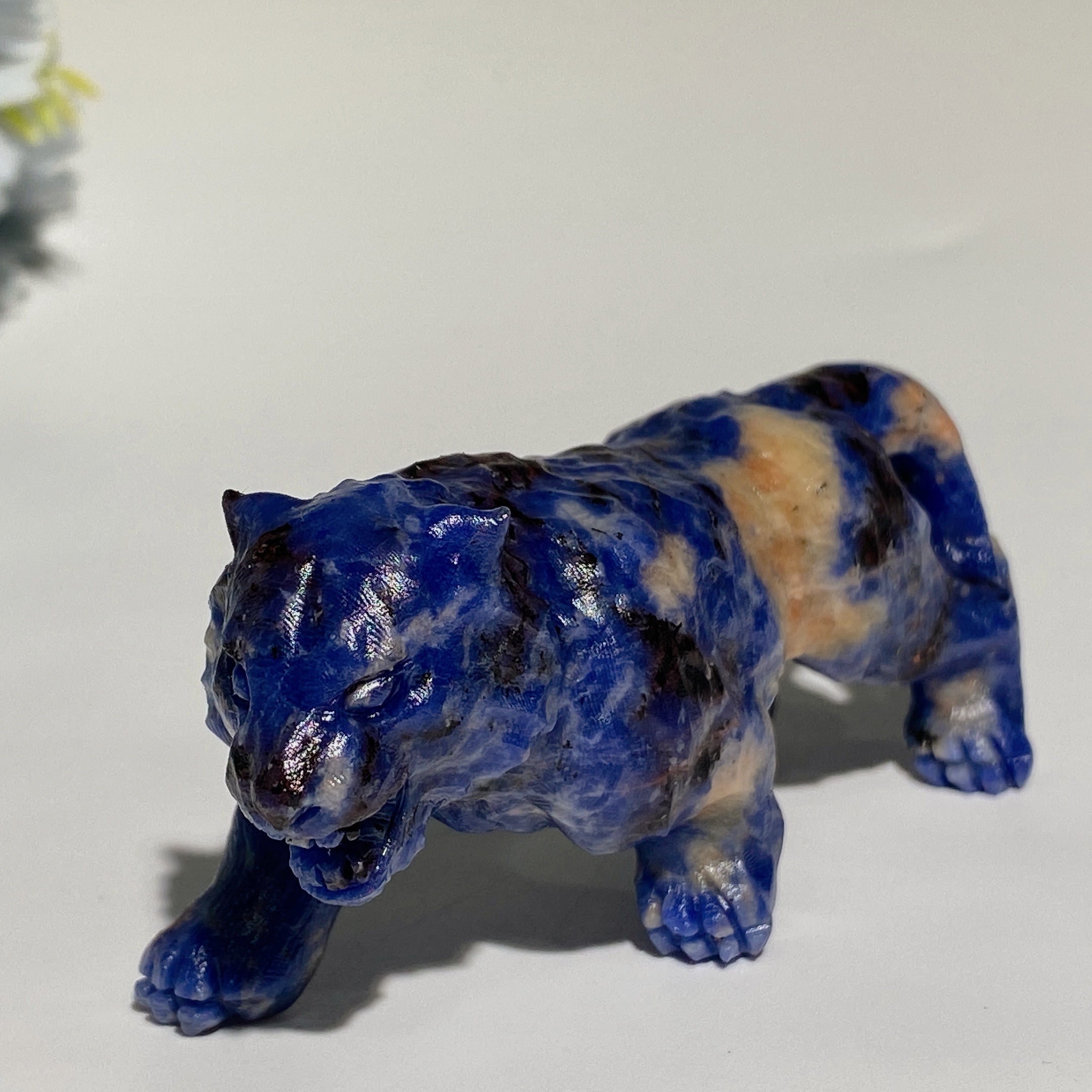 3.5 Inch Crystal Tiger Carvings in Sodalite and Fruit Jasper