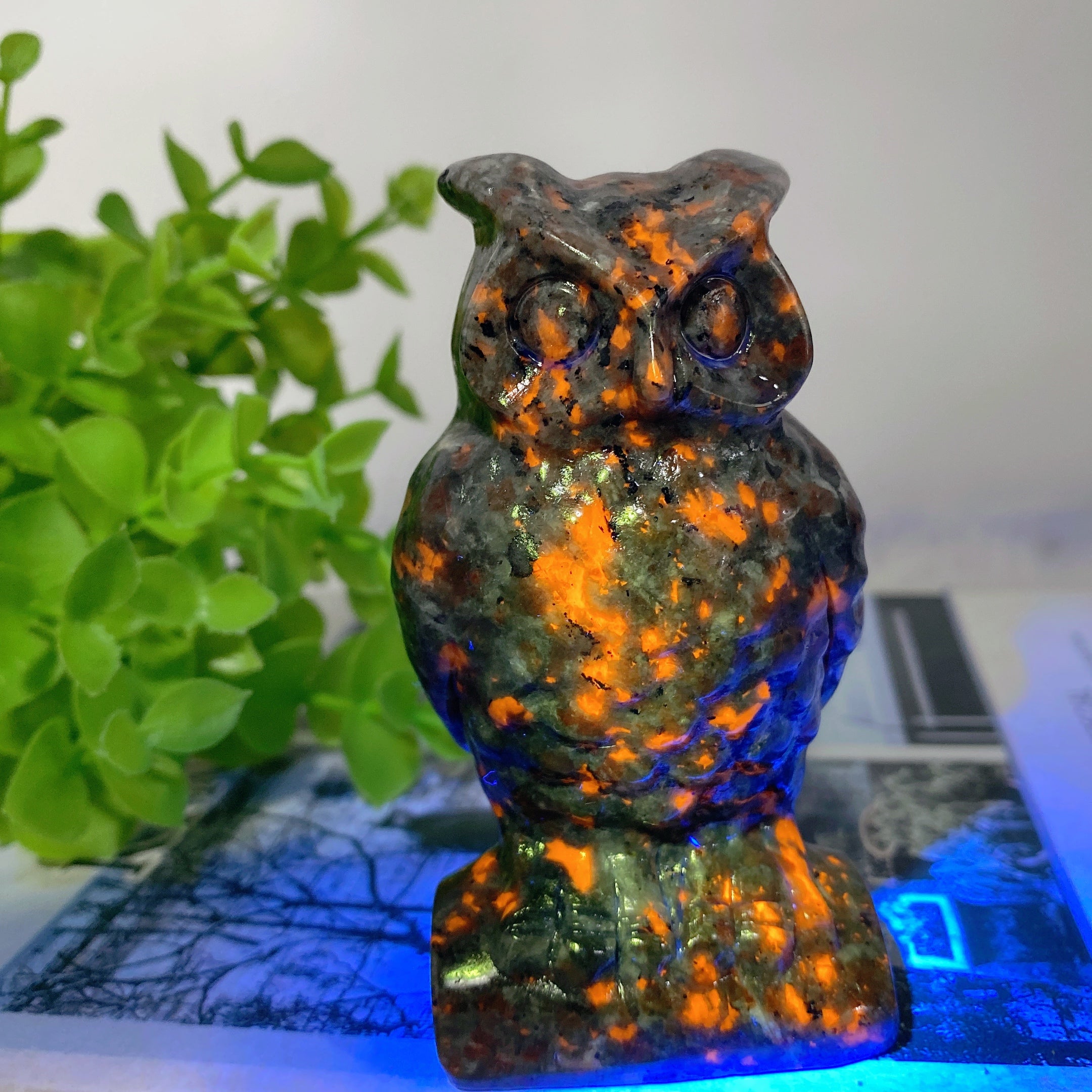 3.5 Inch Yooperlite Crystal Owl Carving for Healing