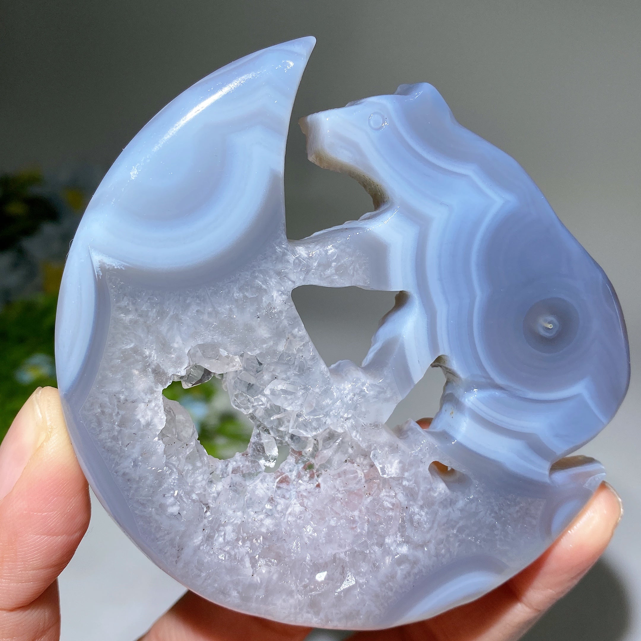 3.6-inch Druzy Agate Crystal Bear Carving for Healing