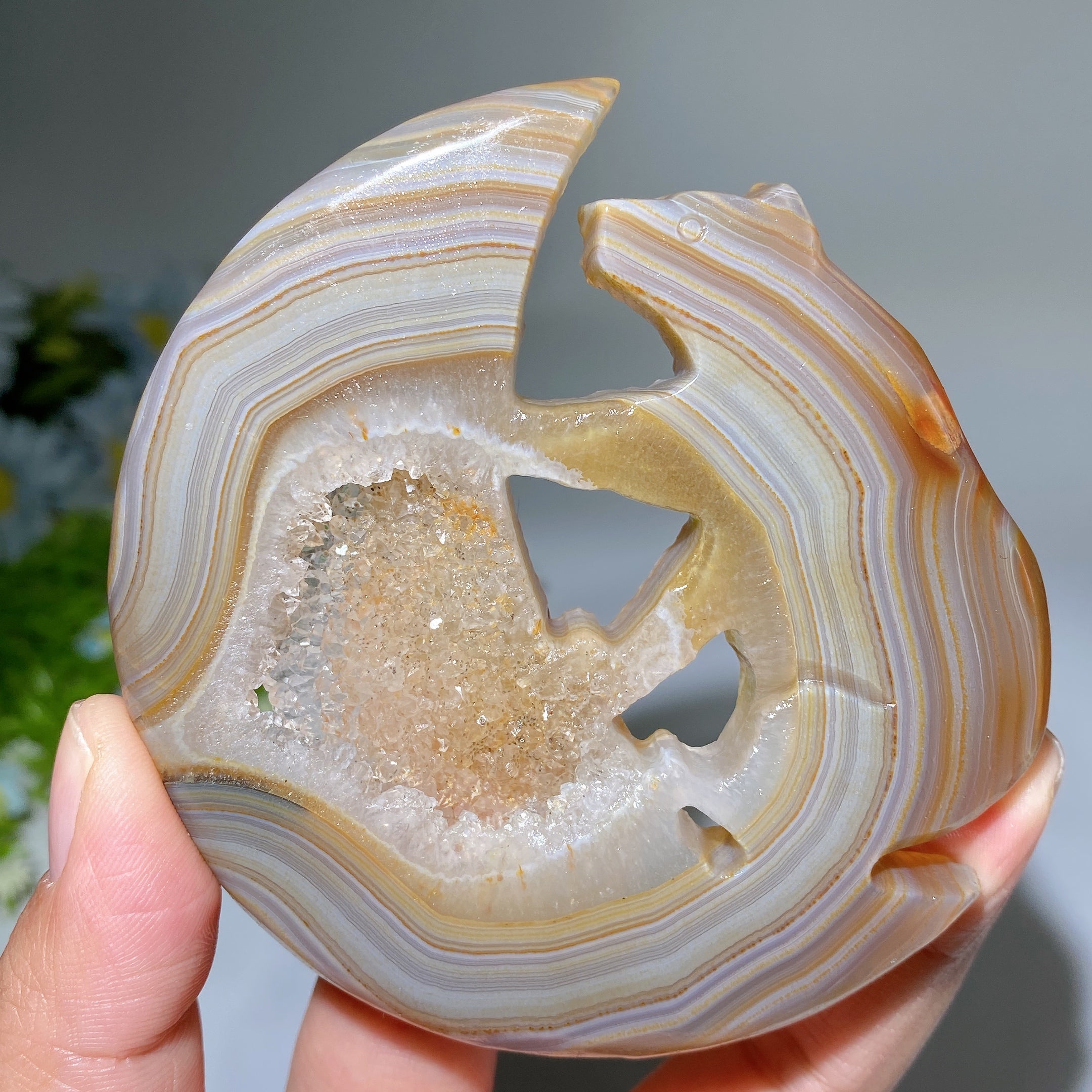 3.6-inch Druzy Agate Crystal Bear Carving for Healing