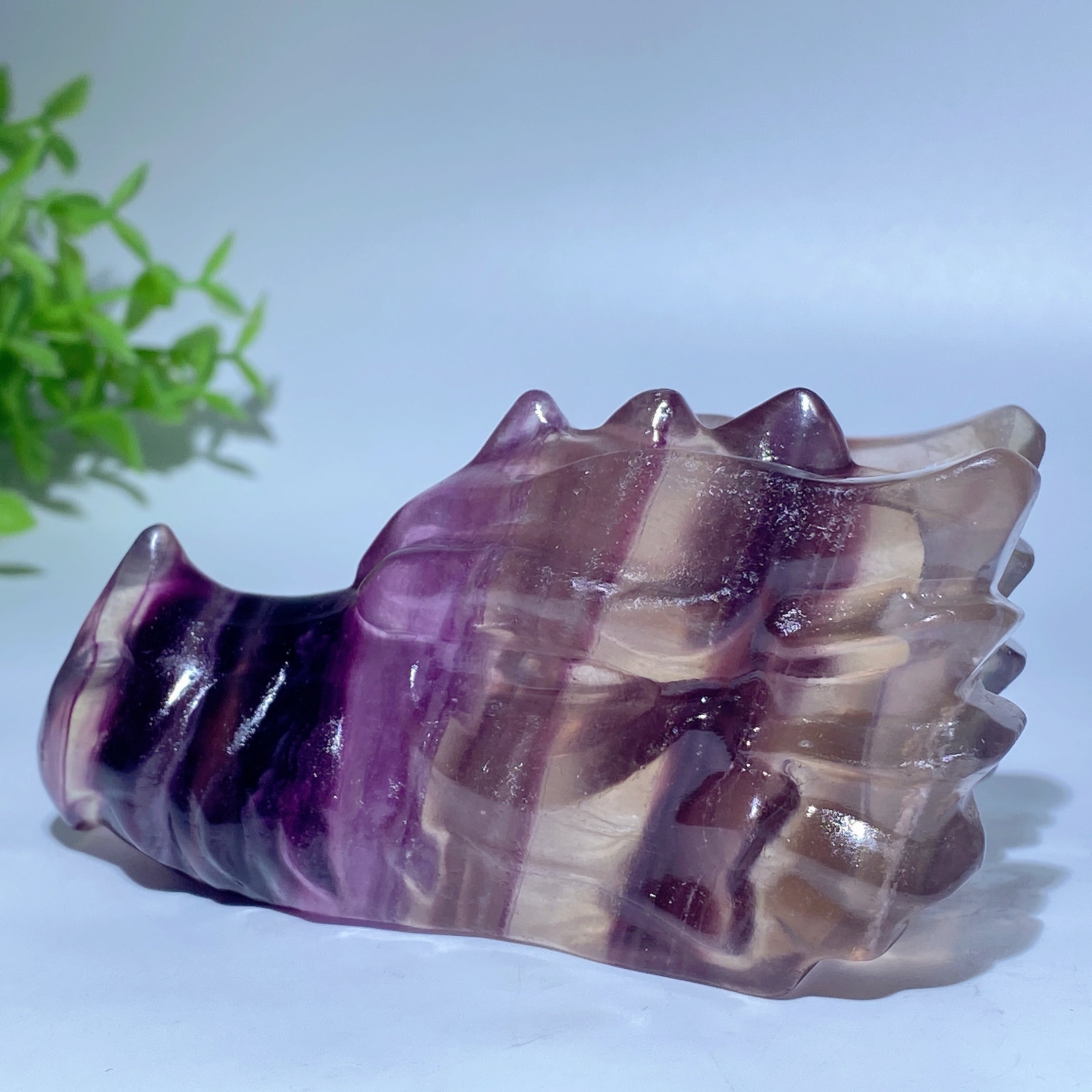 3.6 Inch Fluorite Crystal Dragon Head Carving