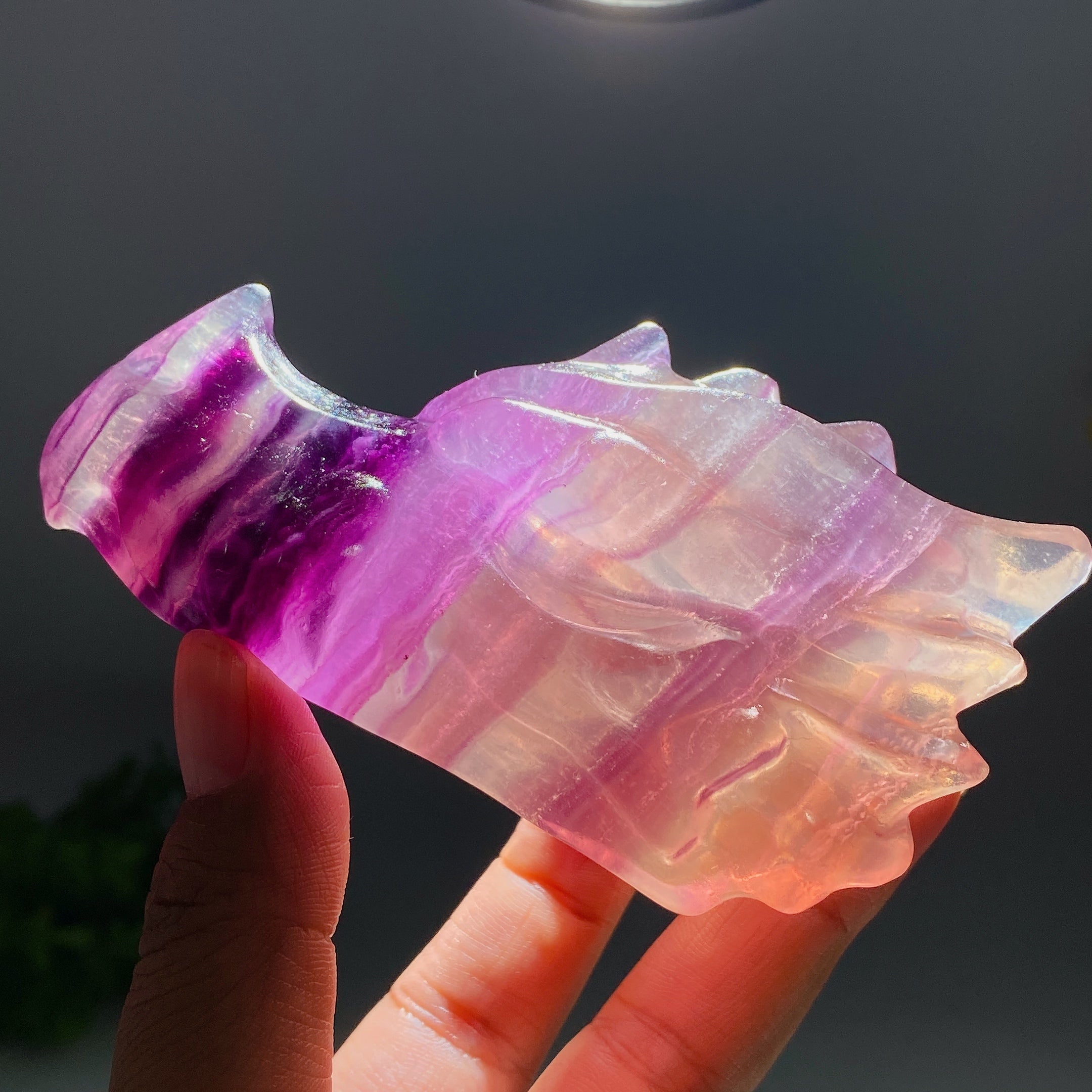 3.6 Inch Fluorite Crystal Dragon Head Carving