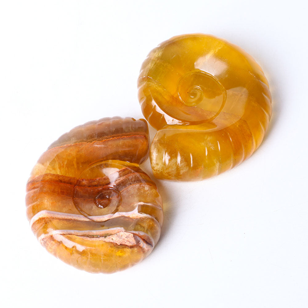 3.6" Unique Fluorite Snail Shell Crystal Carving Specimen