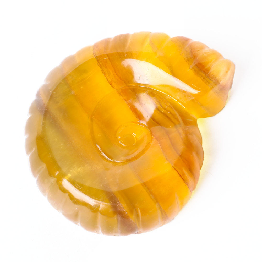 3.6" Unique Fluorite Snail Shell Crystal Carving Specimen