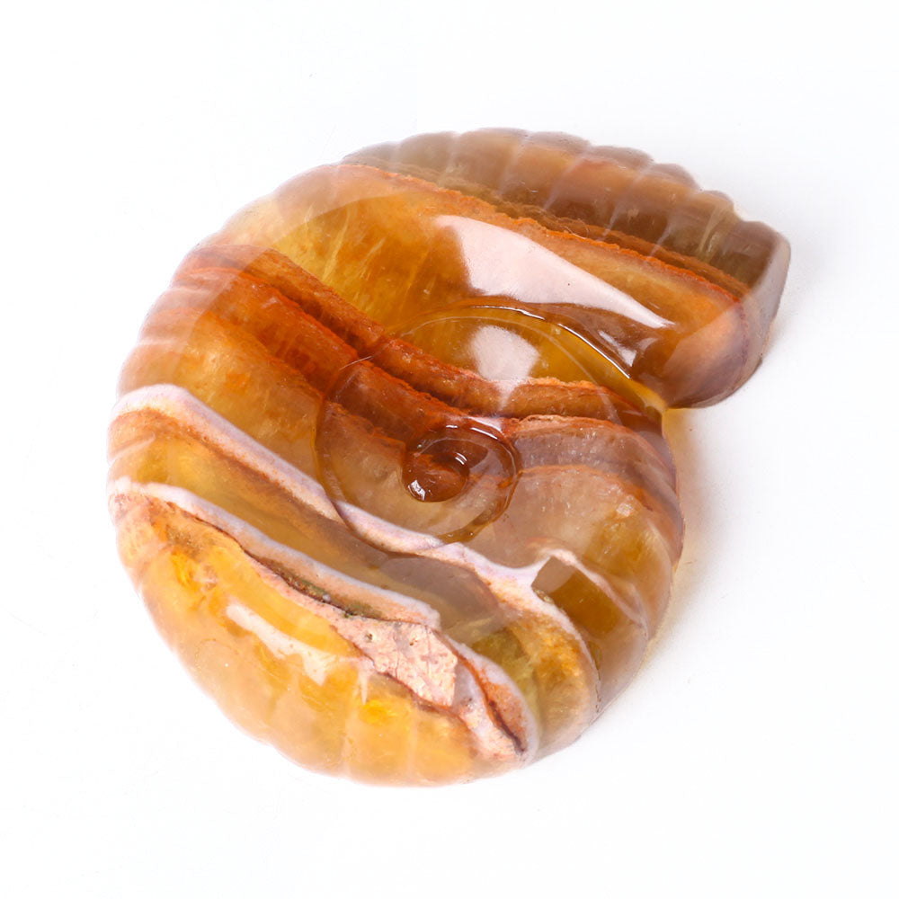 3.6" Unique Fluorite Snail Shell Crystal Carving Specimen