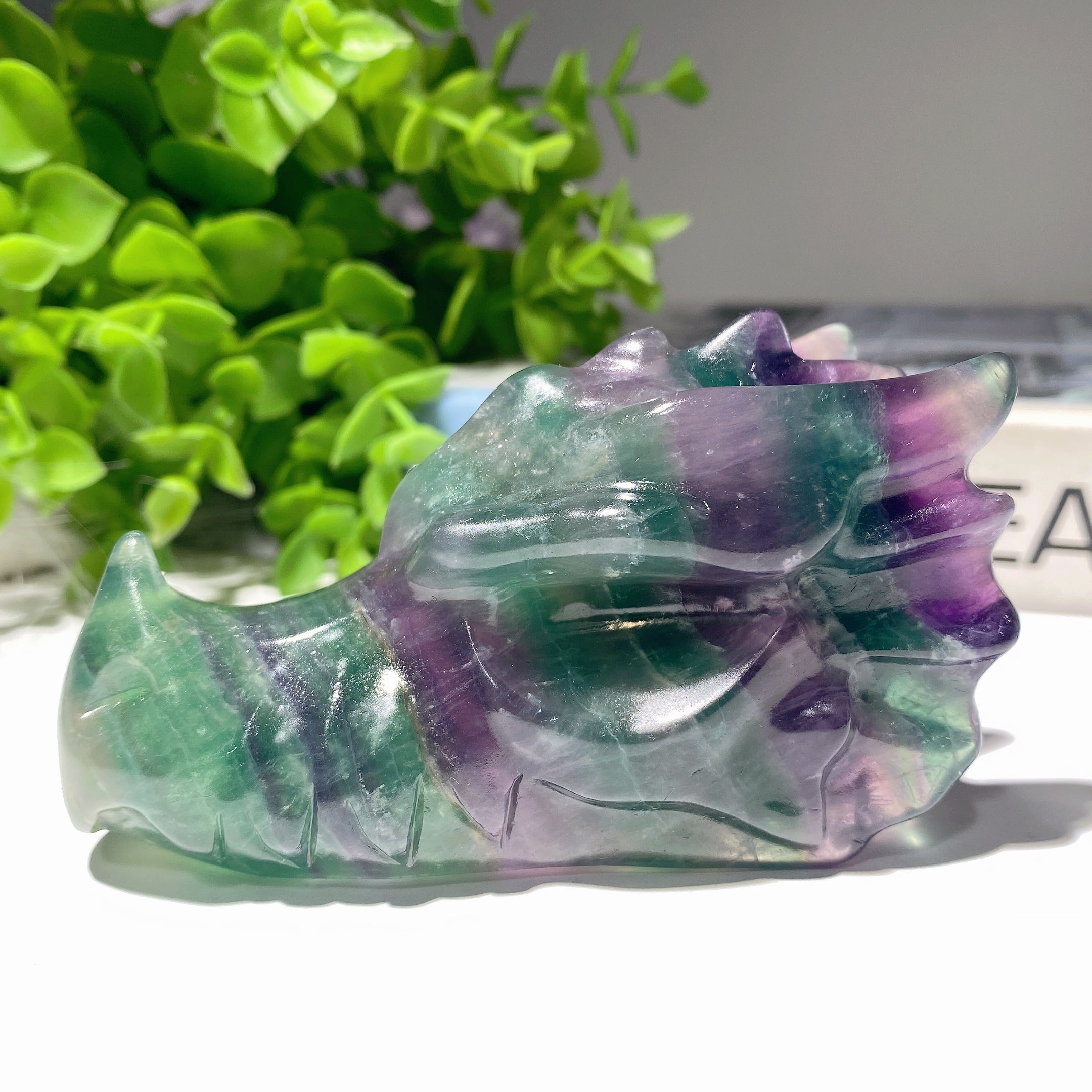 3.7" Fluorite Crystal Dragon Head Carving for Healing
