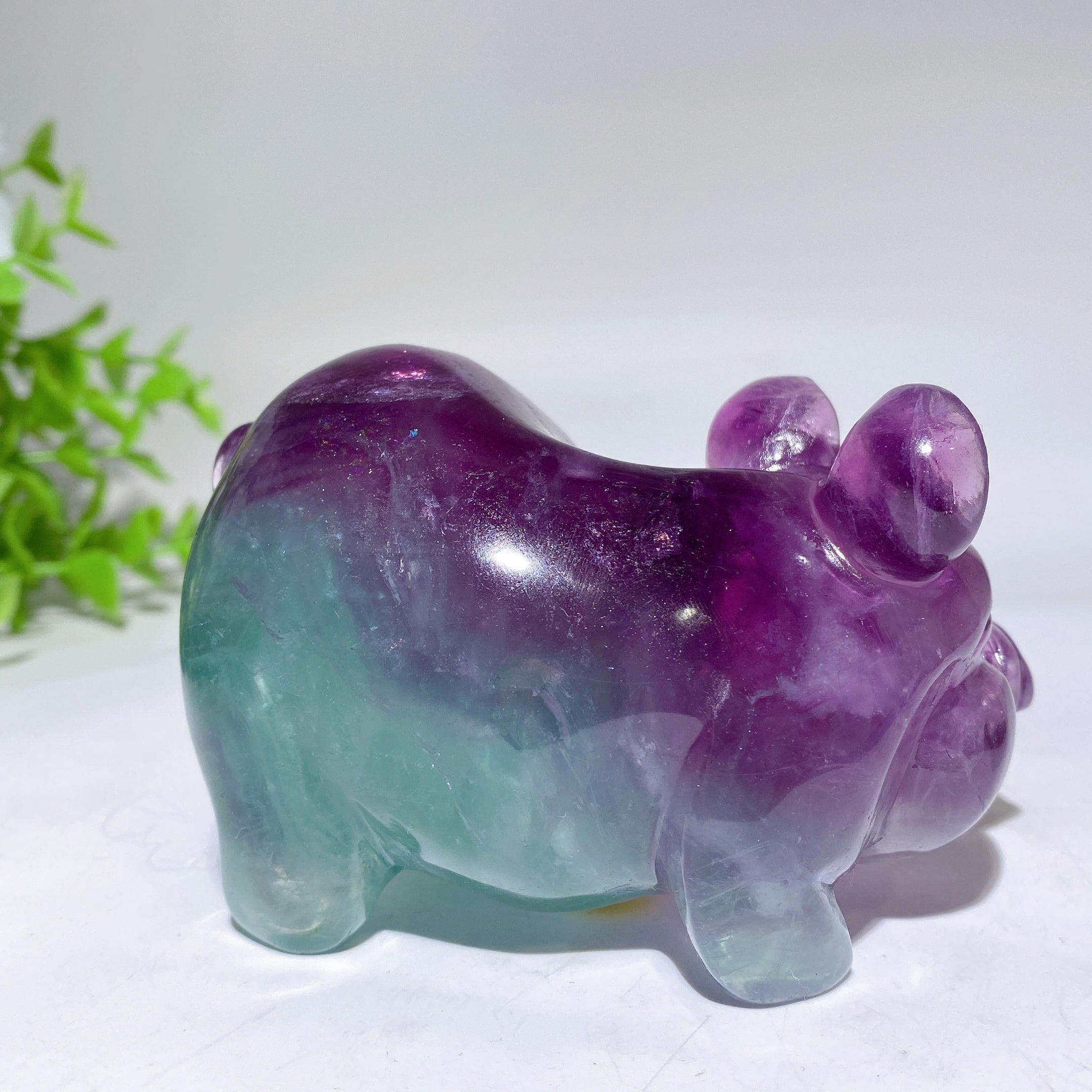 3.8 Inch Fluorite Pig Crystal Figurine for Healing