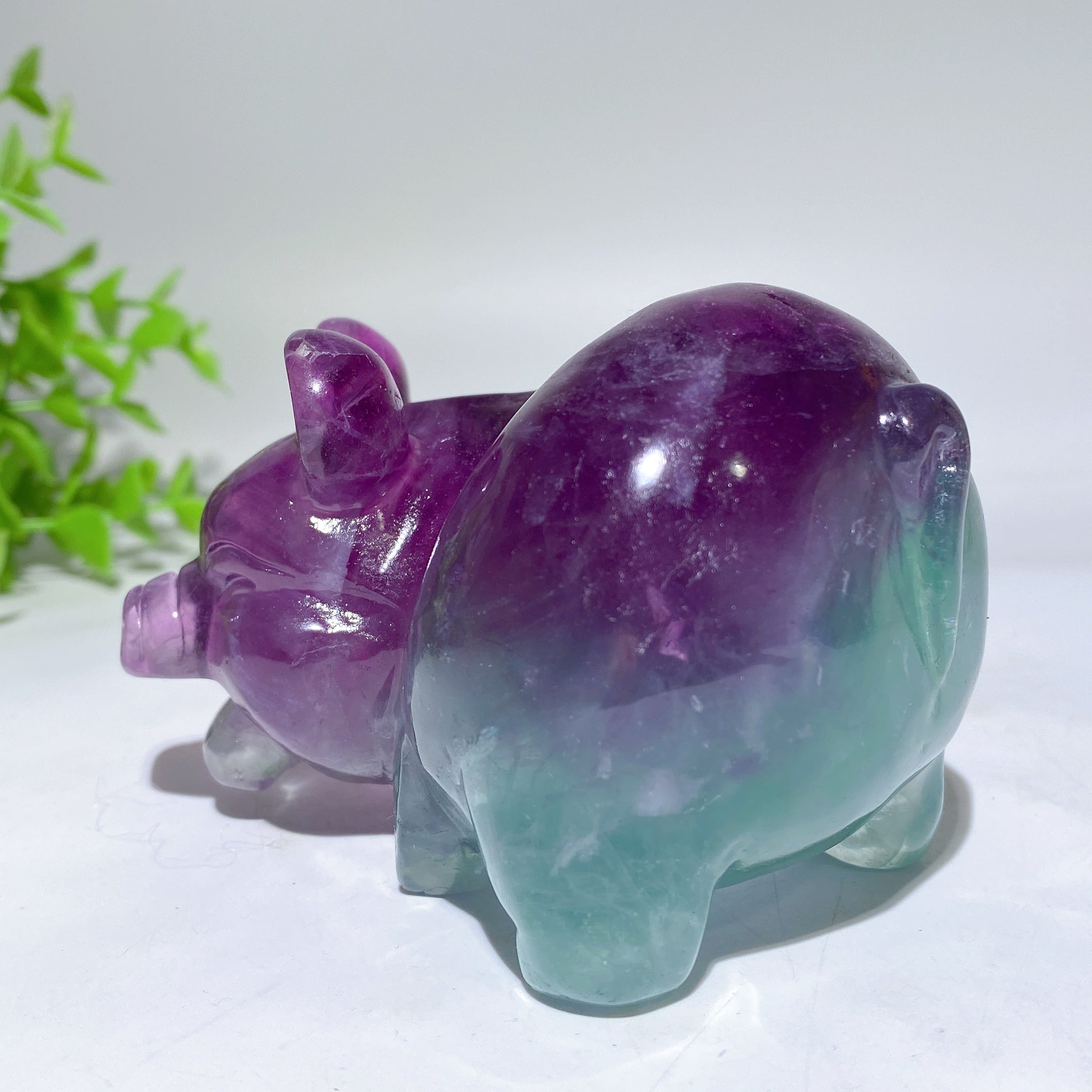 3.8 Inch Fluorite Pig Crystal Figurine for Healing