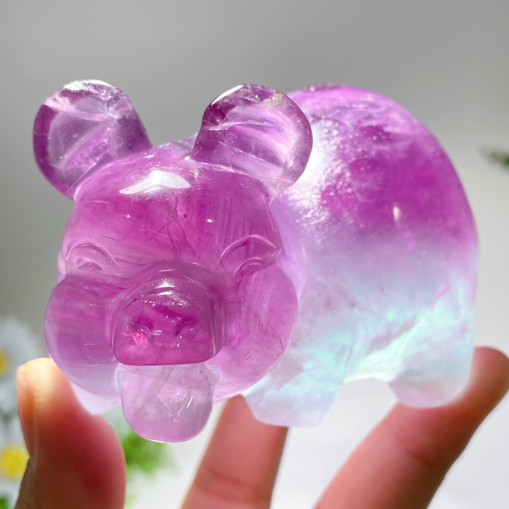 3.8 Inch Fluorite Pig Crystal Figurine for Healing
