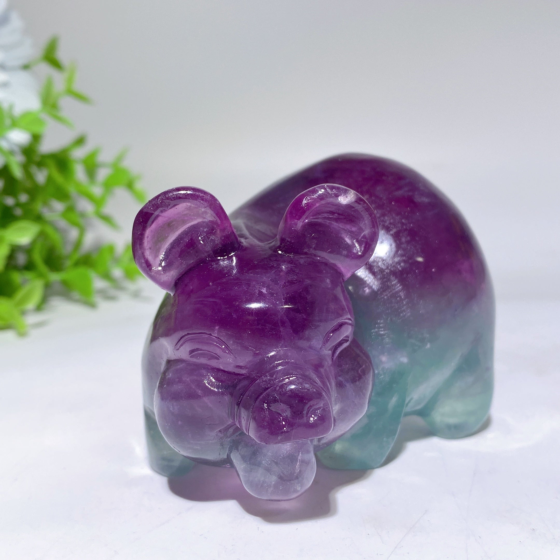 3.8 Inch Fluorite Pig Crystal Figurine for Healing