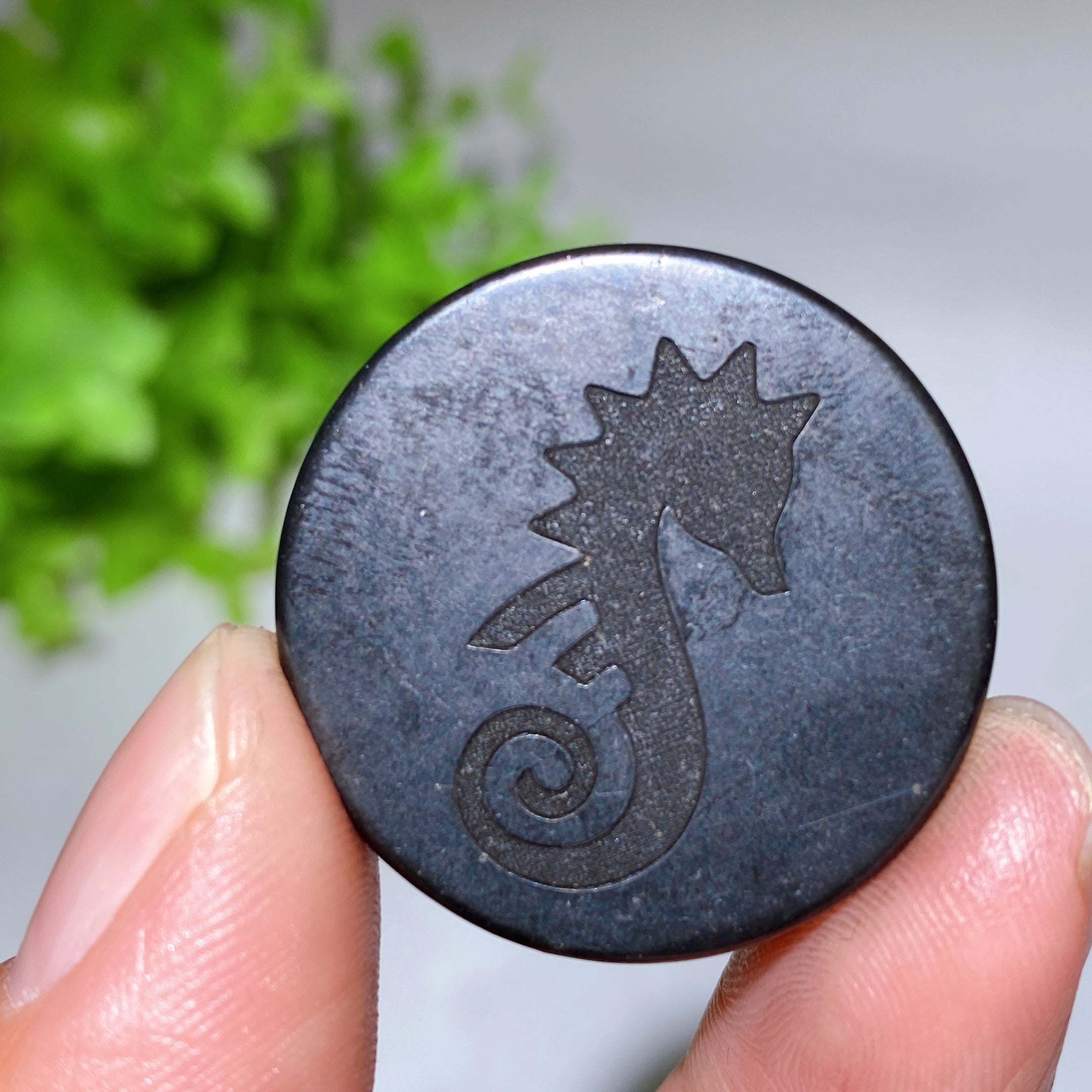 30mm Schungite Healing Crystal Round Slab