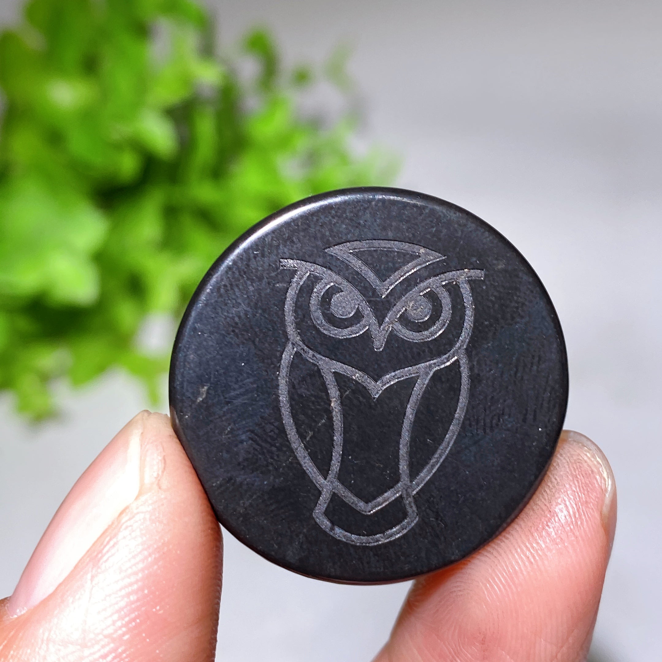 30mm Schungite Healing Crystal Round Slab