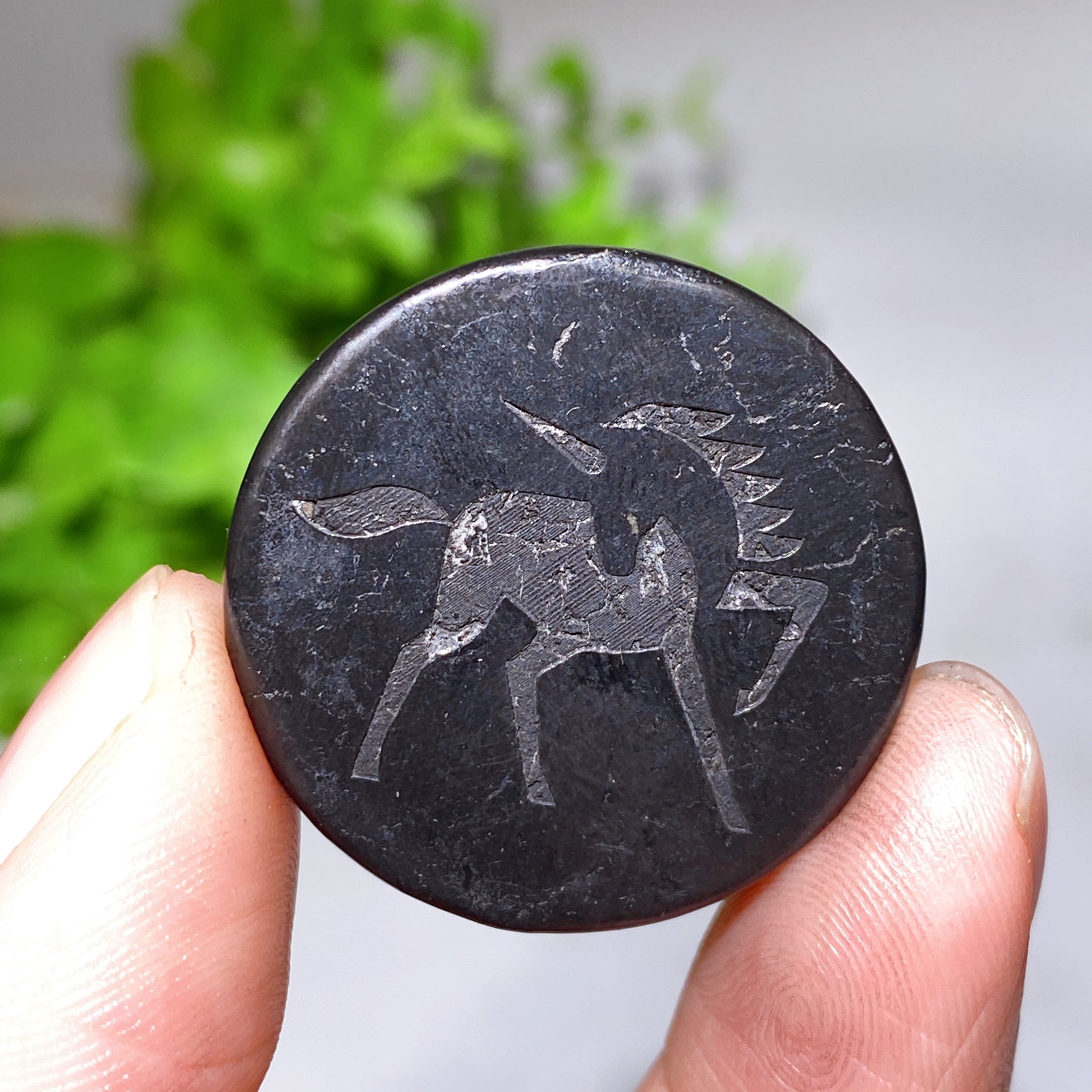 30mm Schungite Healing Crystal Round Slab