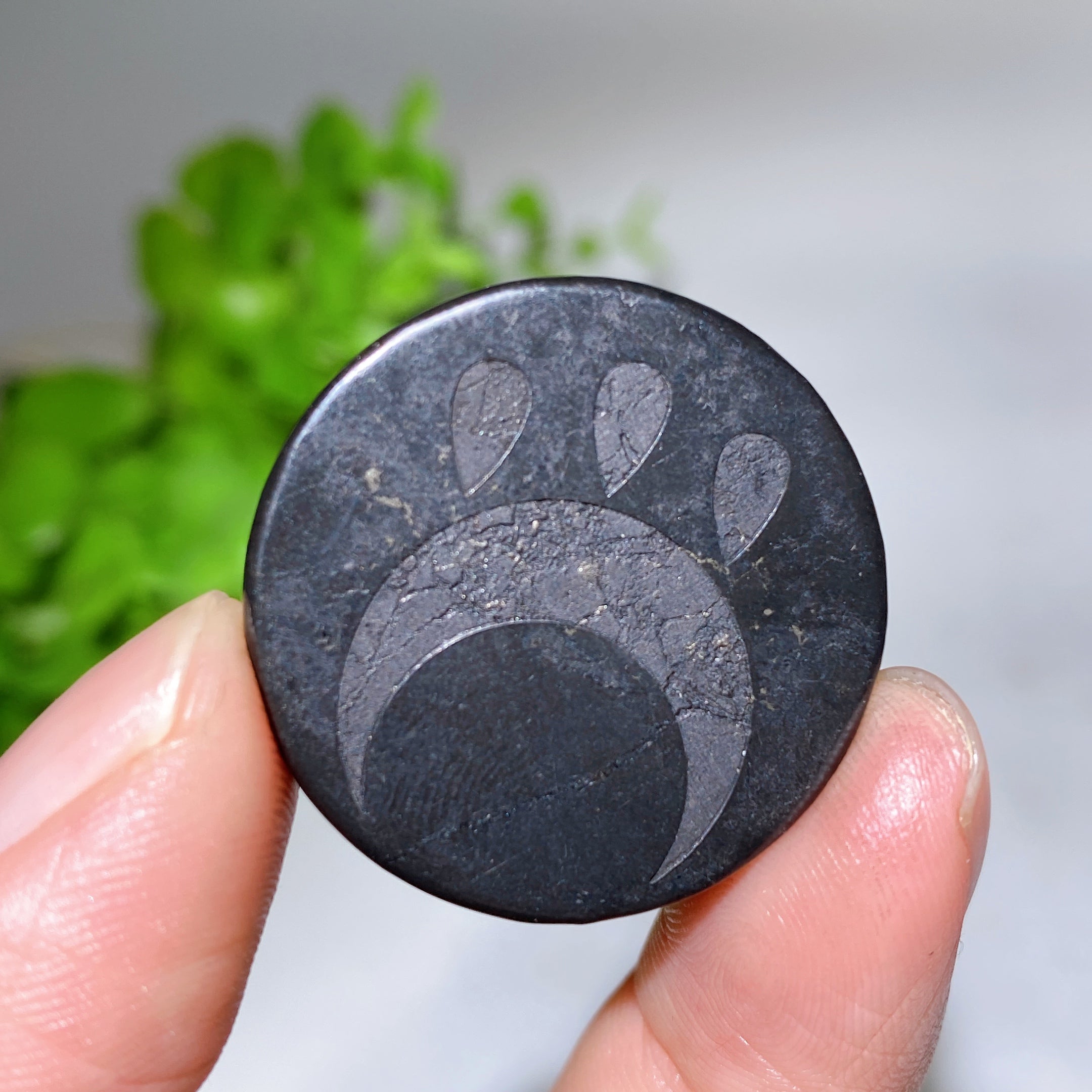 30mm Schungite Healing Crystal Round Slab