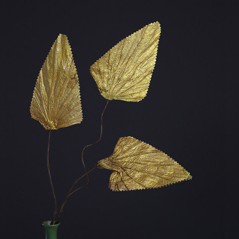 Dried Lotus Leaf Bouquet for Zen Home Decor Accent