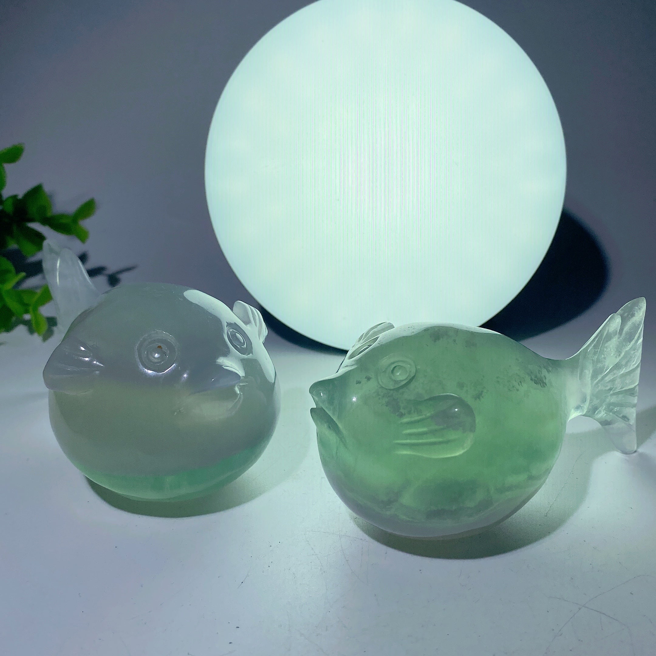 4.0 in Crystal Animal Carvings - Fluorite & Moss Agate Fish