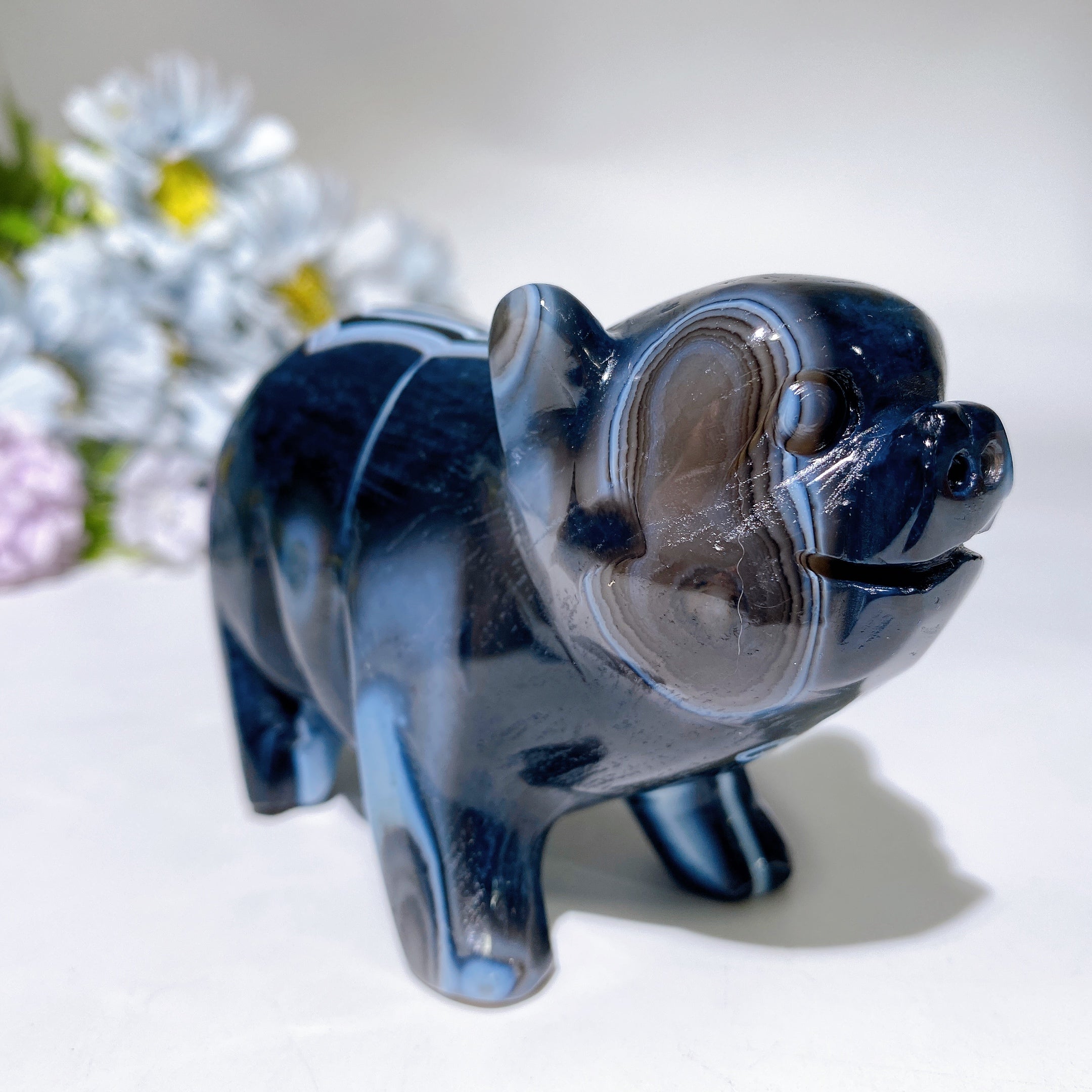 4.2 Inch Black Banded Agate Piggy Crystal Carving