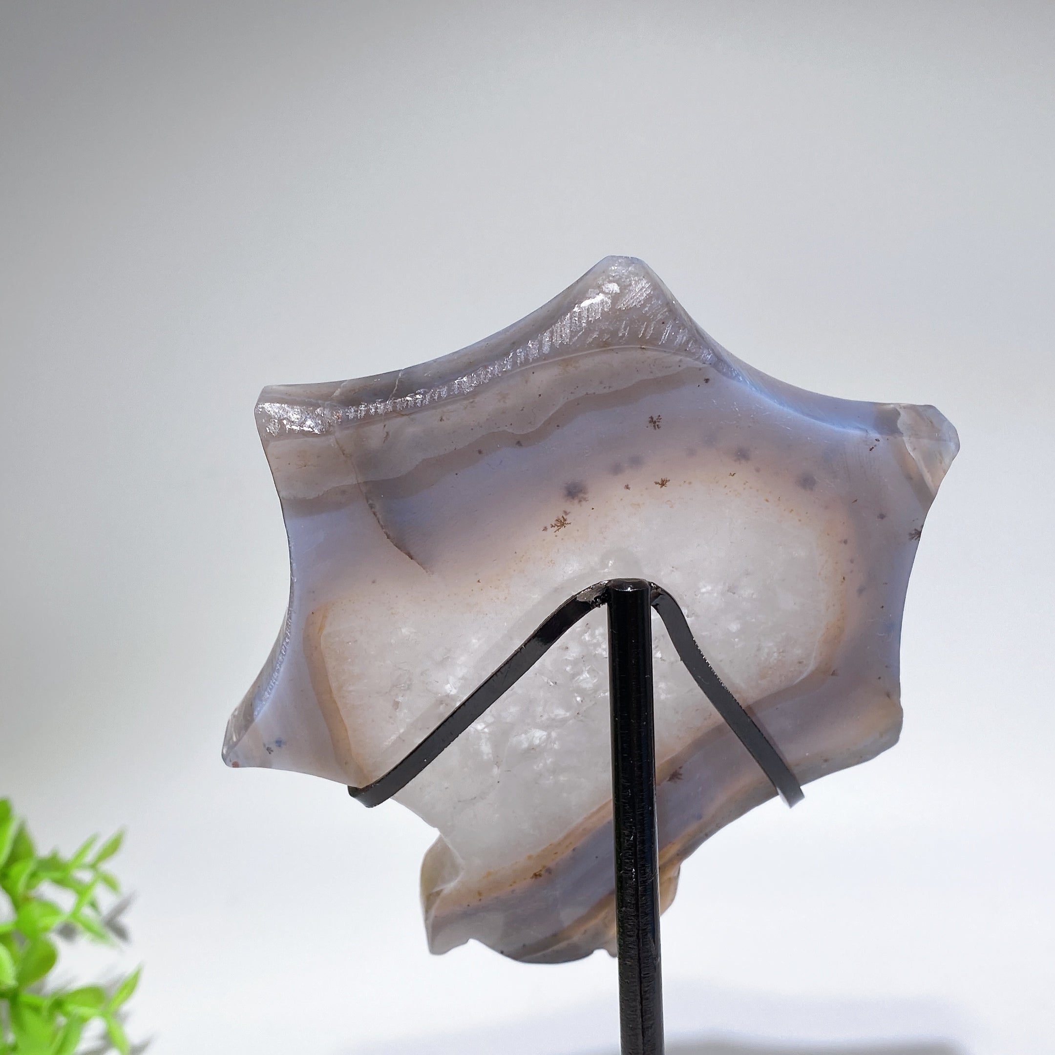 4.4 Inch Druzy Agate Spider Web Crystal Carving with Stand