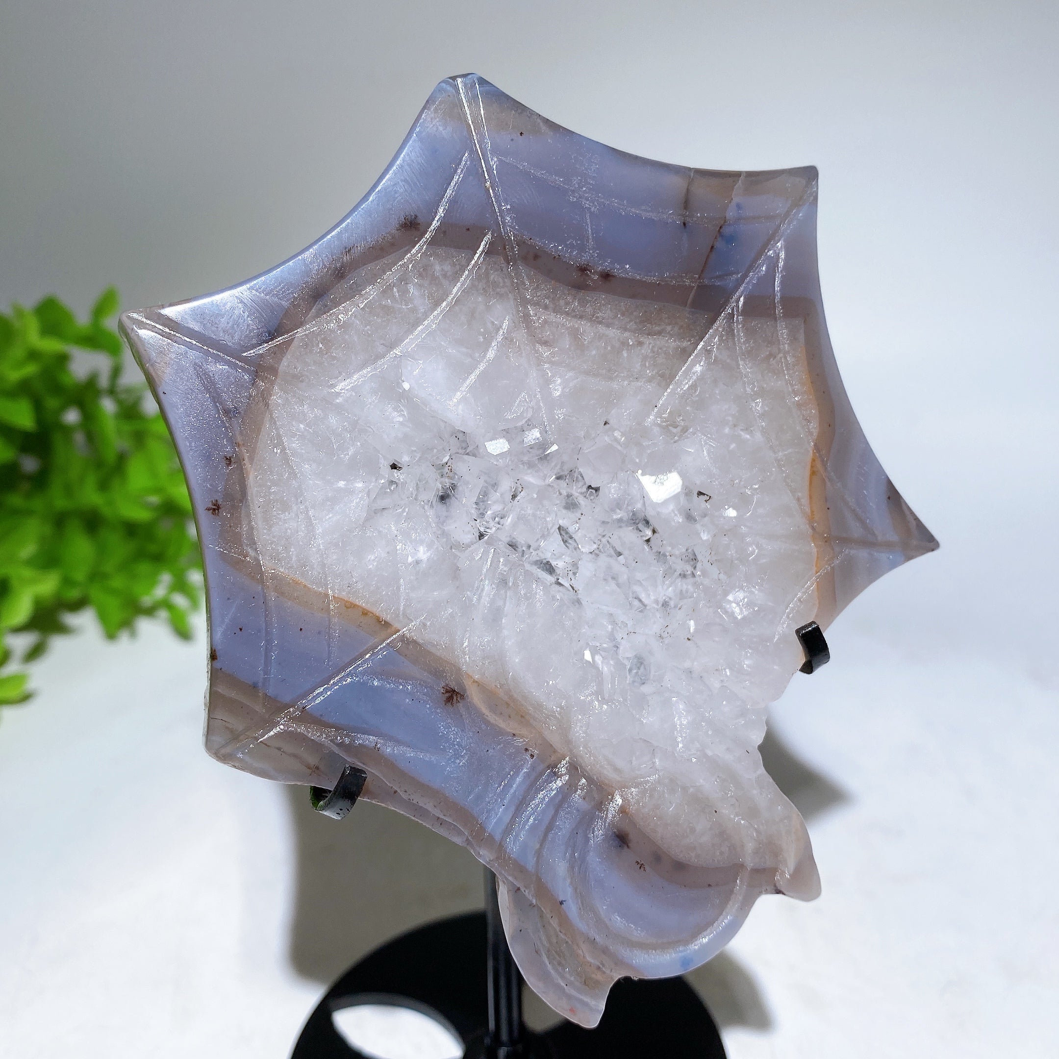 4.4 Inch Druzy Agate Spider Web Crystal Carving with Stand