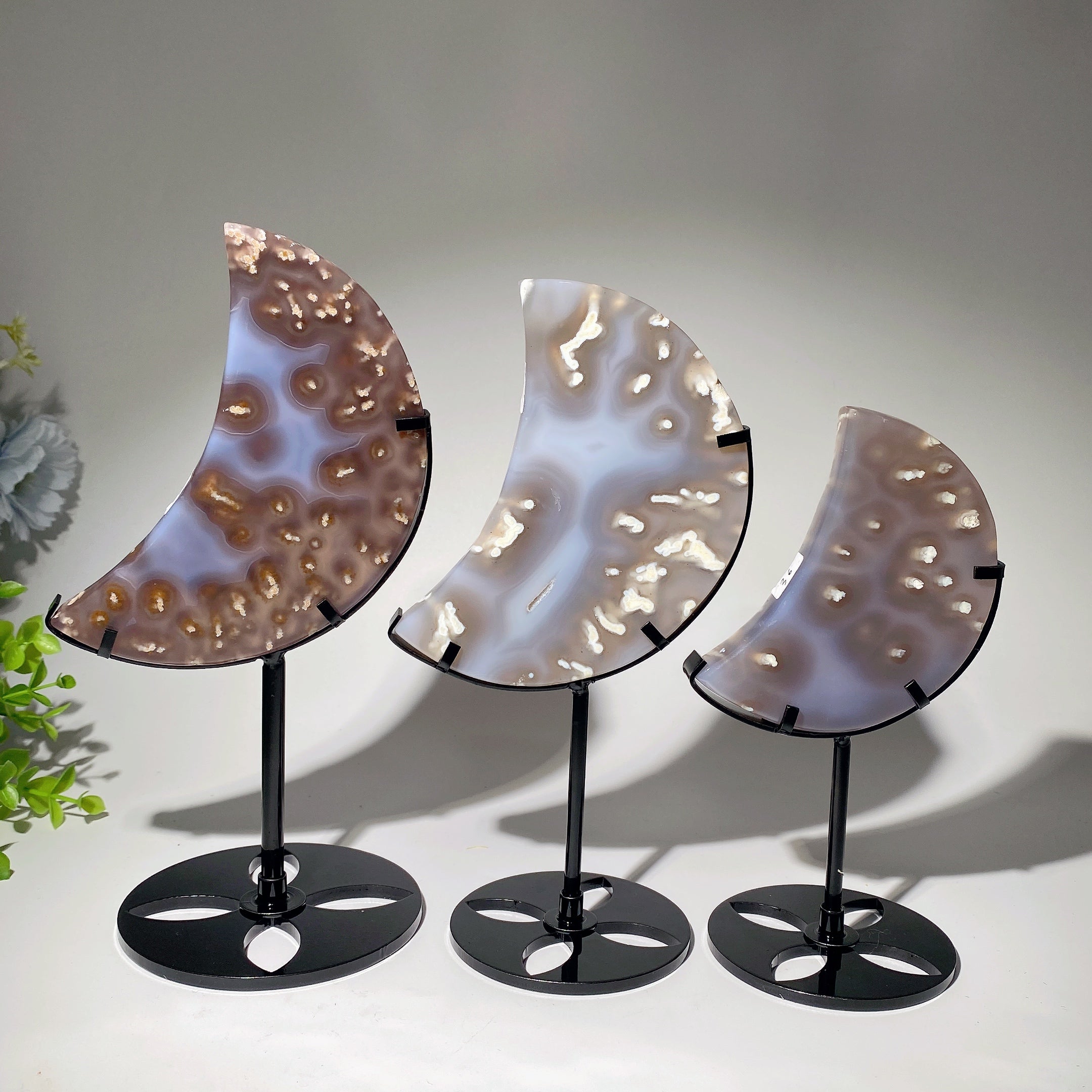 4-5.5 Inch Tree Agate Moon Crystal Carving with Stand