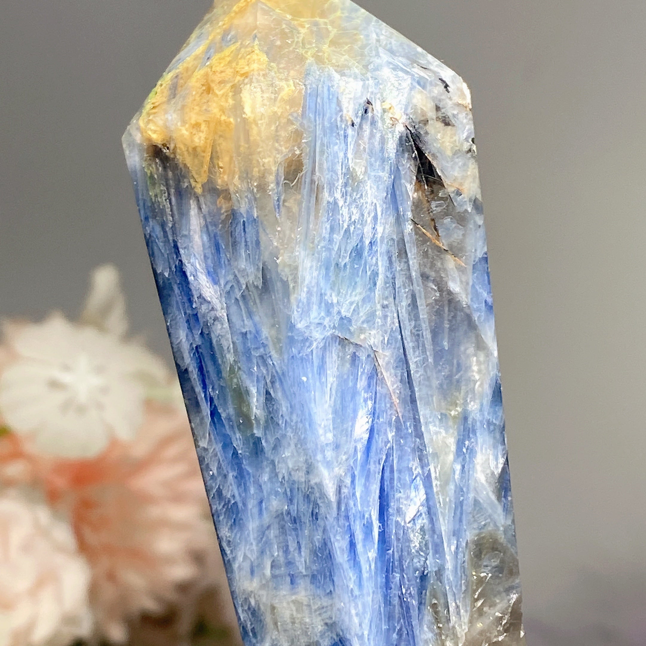 4.5-6.5 Inch Blue Kyanite Crystal Wand for Healing & Meditation