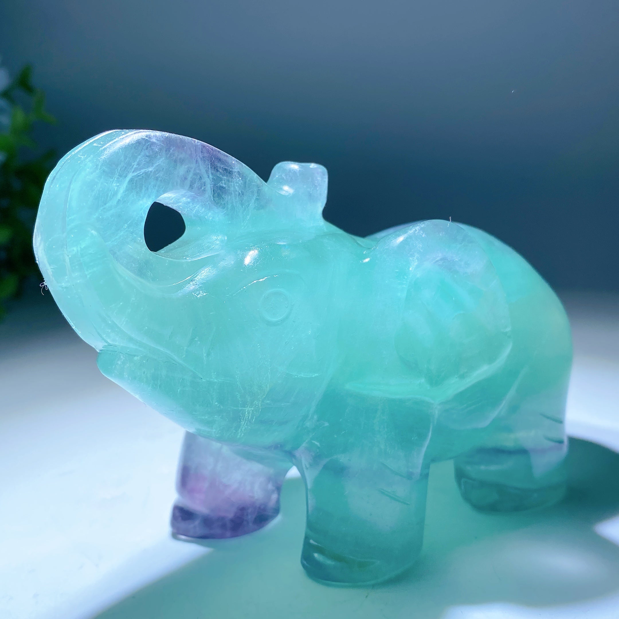 4.5 Inch Fluorite Elephant Crystal Carving for Healing
