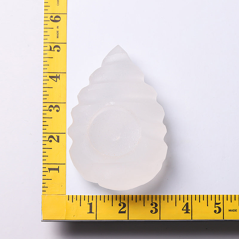 4.5 inch Selenite Shell Candle Holder for Meditation
