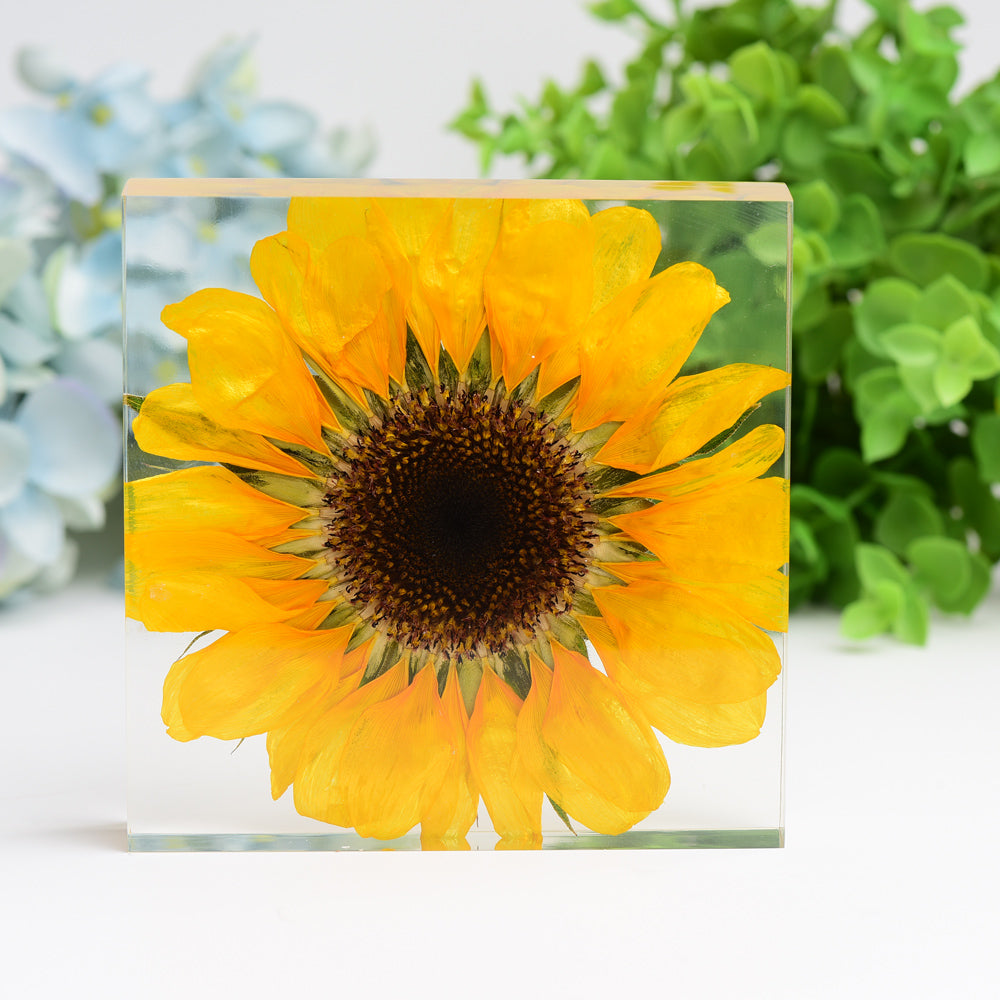 4.6-inch Resin Square with Sunflower - Spiritual Home Accent