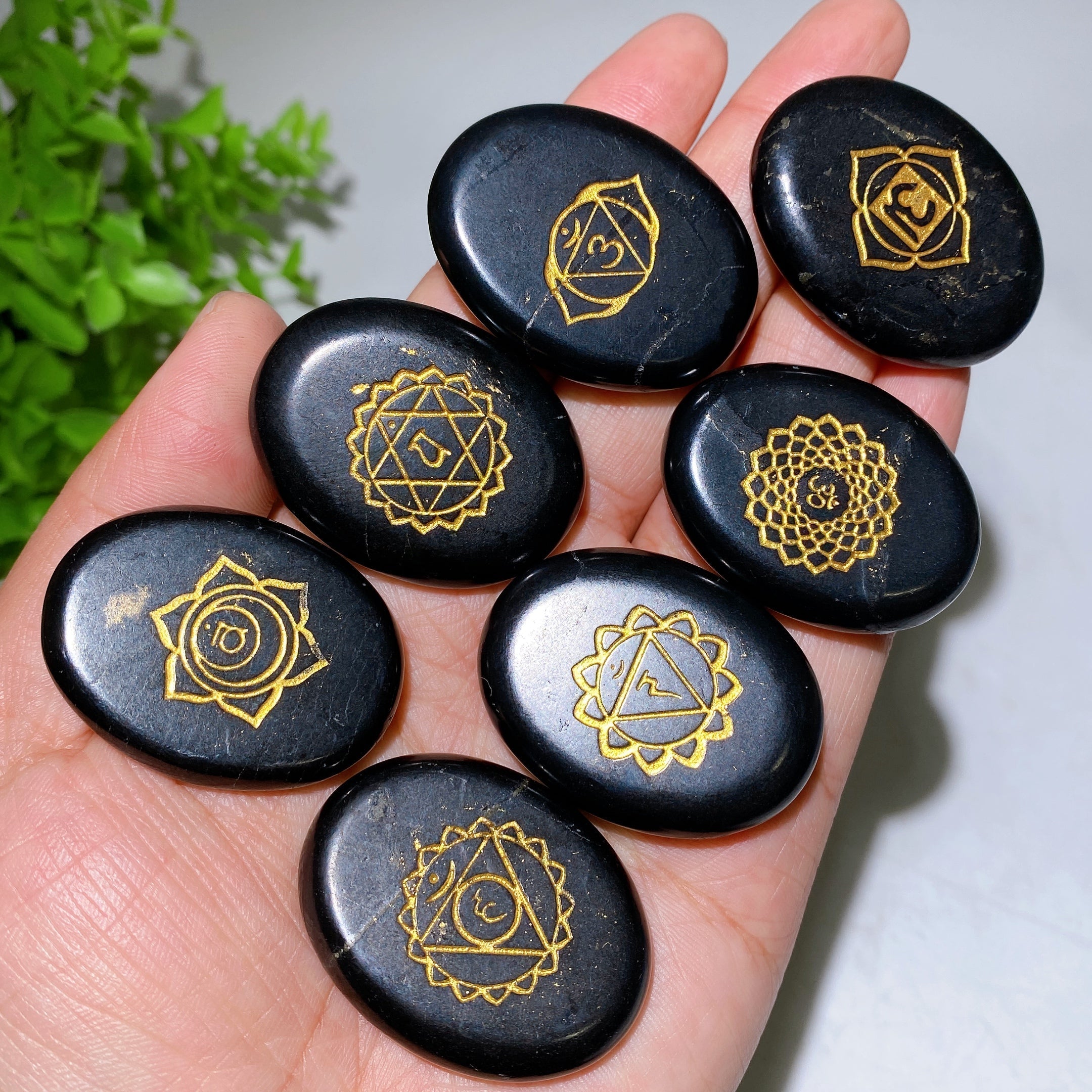 40mm Schungite Chakra Rune Crystal Specimens Set