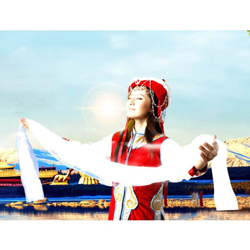 Tibetan Lucky Blessing Khata 5 Colors Dragon Phoenix Decor