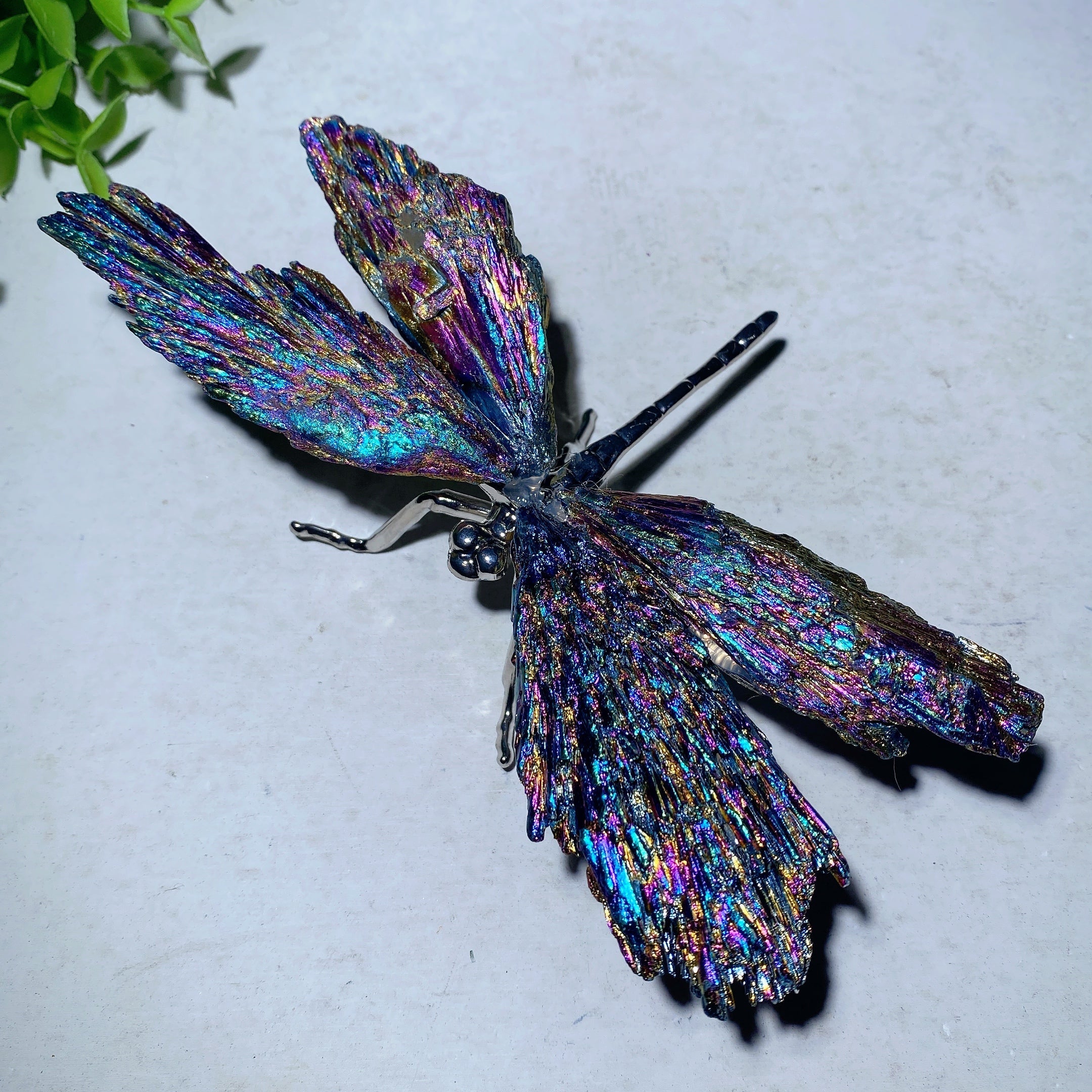 5.2 inch Aura Kyanite Dragonfly Crystal Figurine for Healing