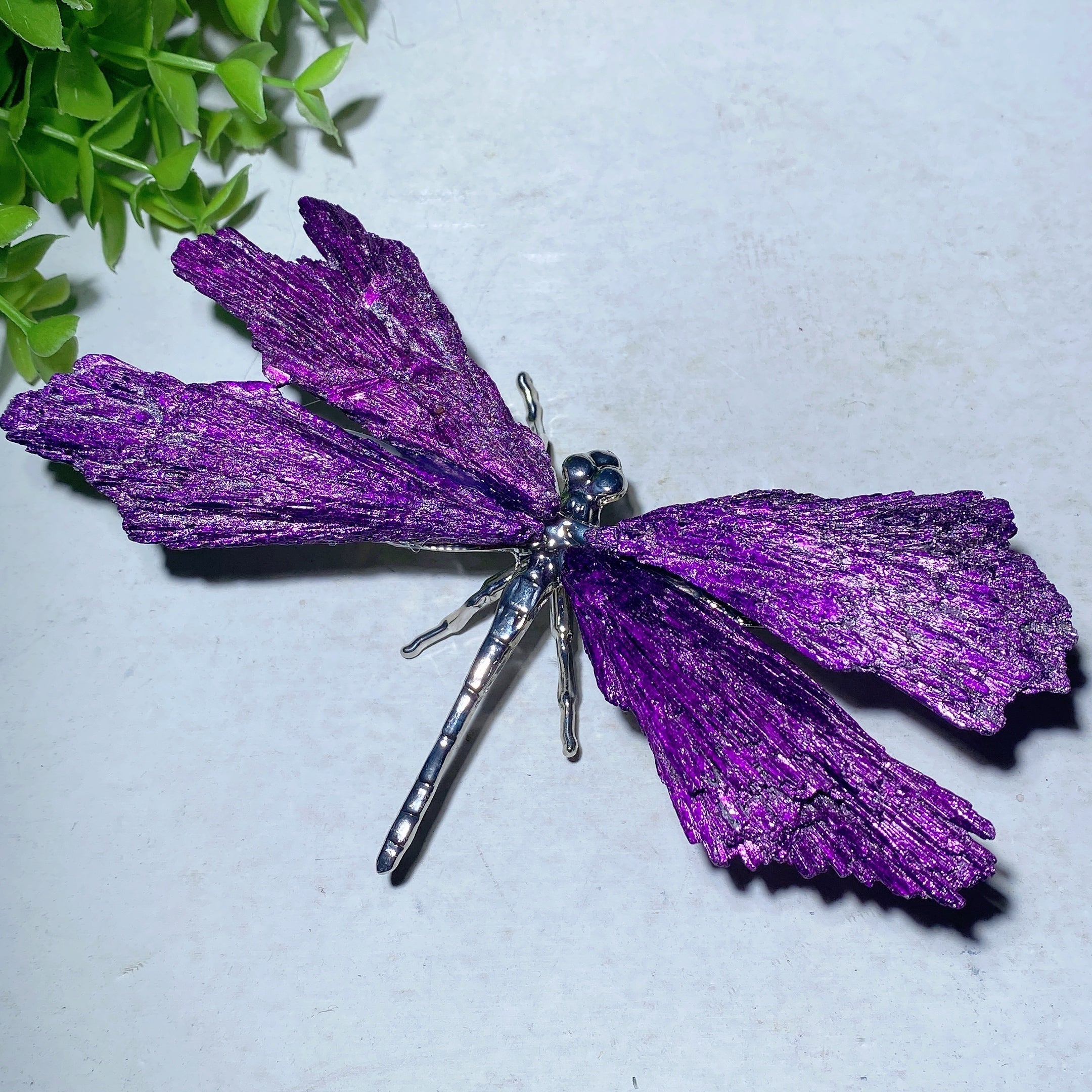 5.2 inch Aura Kyanite Dragonfly Crystal Figurine for Healing