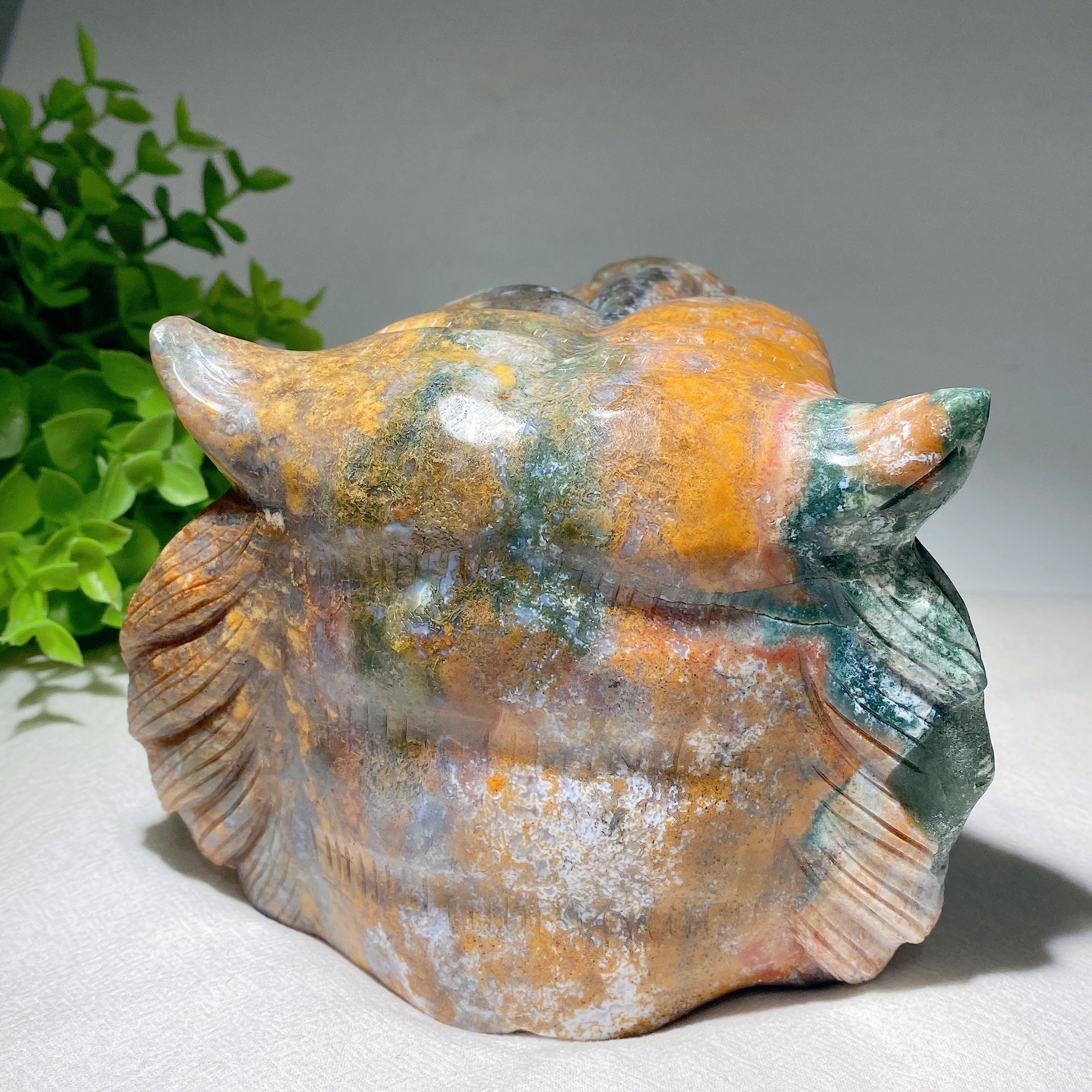 5.2 inch Ocean Jasper Tiger Head Crystal Carving for Healing