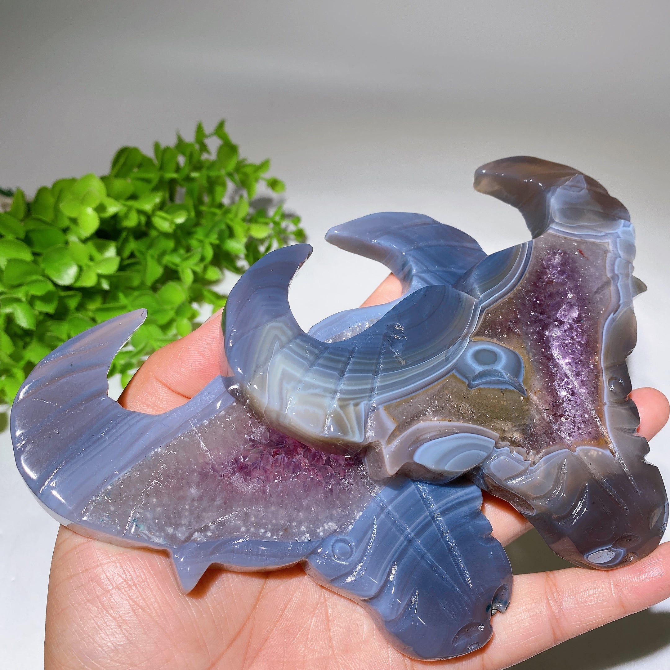 5.4-inch Druzy Amethyst Bull Head Crystal Figurine