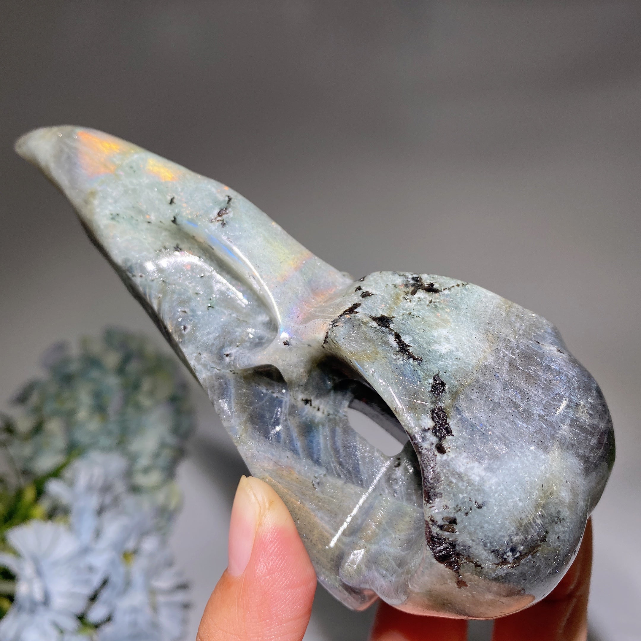 5.7 inch Labradorite Raven Skull Crystal Animal Carving
