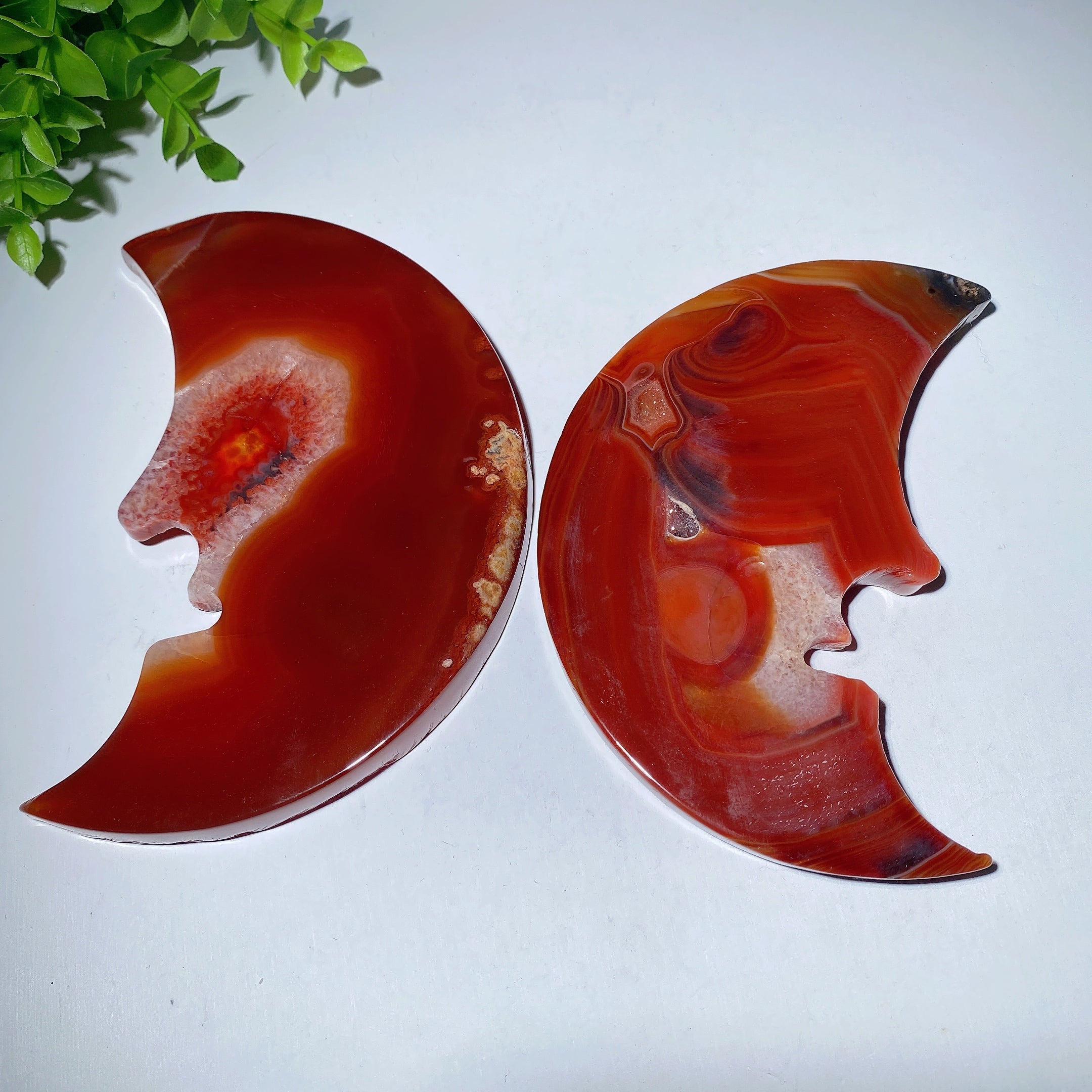 5 Inch Druzy Carnelian Moon Carving for Crystal Decor