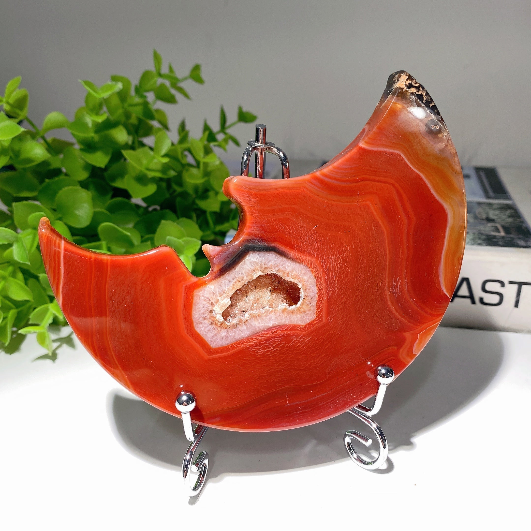 5 Inch Druzy Carnelian Moon Carving for Crystal Decor