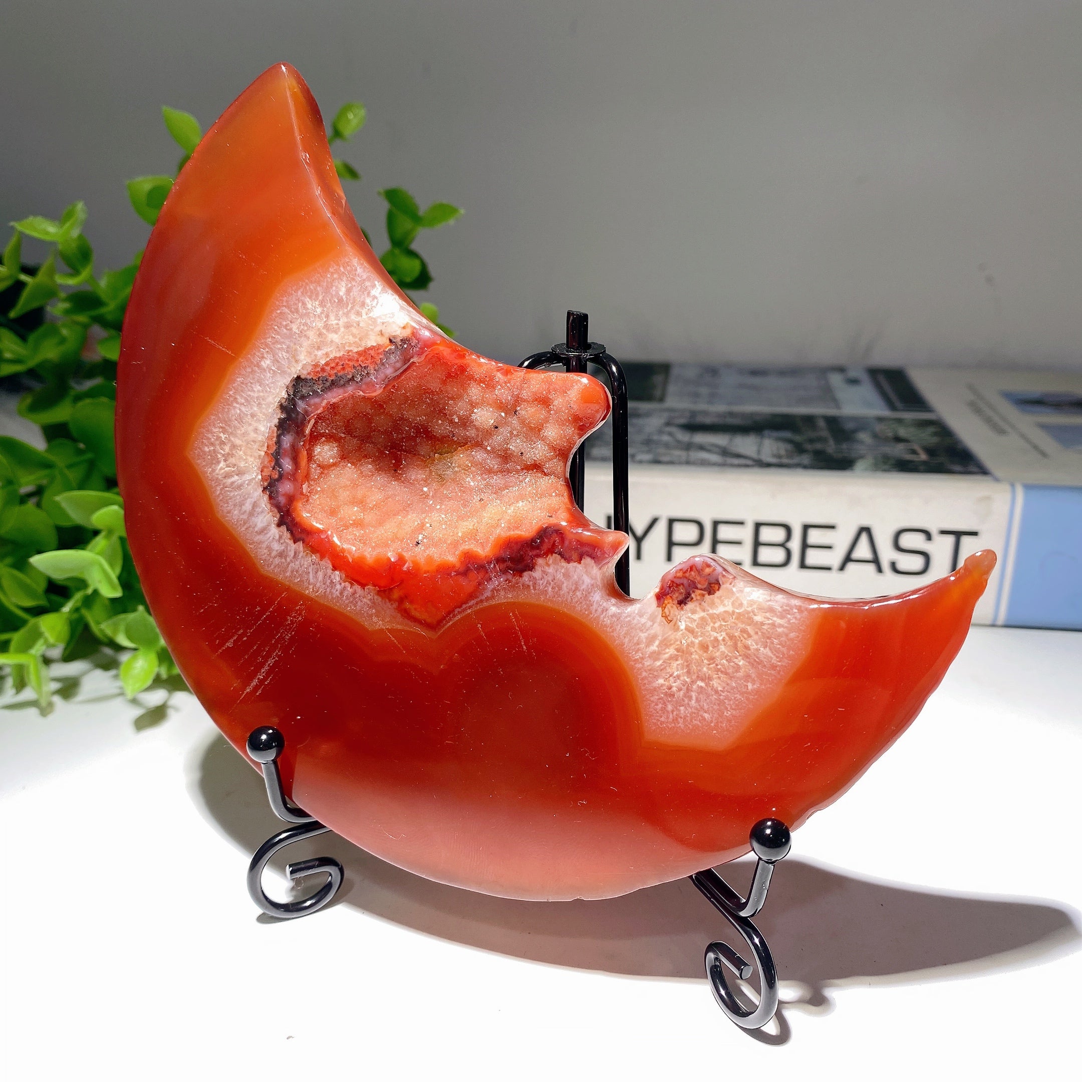 5 Inch Druzy Carnelian Moon Carving for Crystal Decor