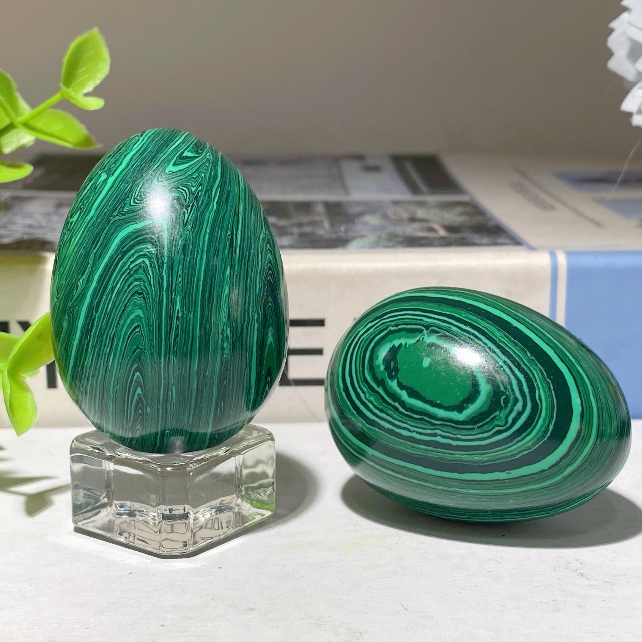 50mm Malachite Crystal Egg for Healing & Meditation