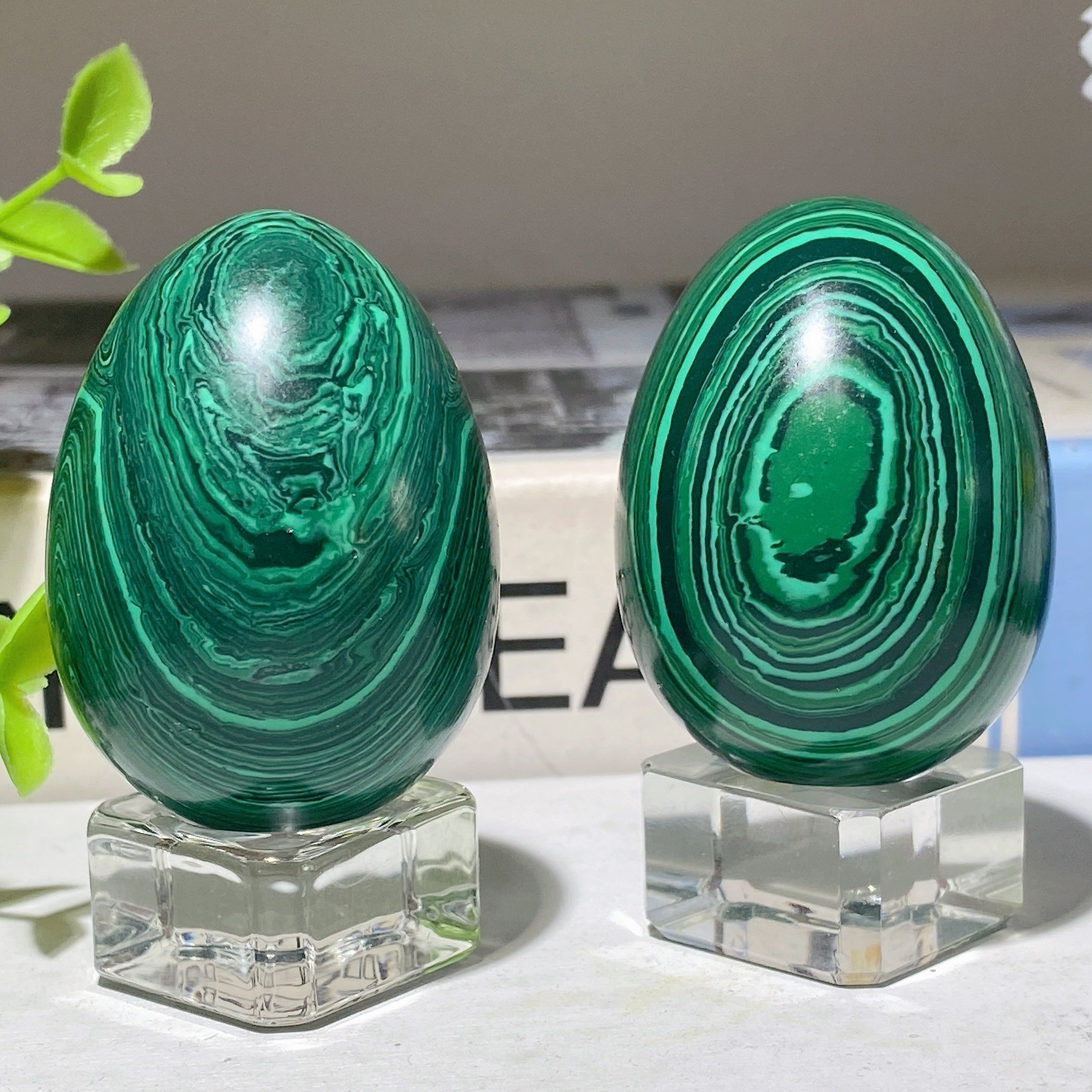 50mm Malachite Crystal Egg for Healing & Meditation